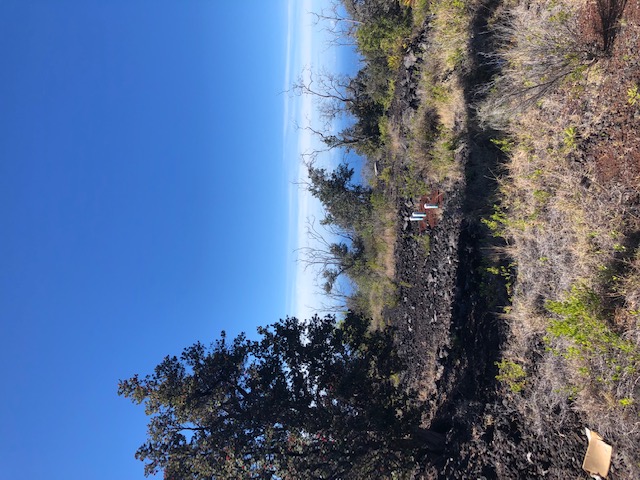 92-1974 Luau Dr, Ocean View, HI 96737