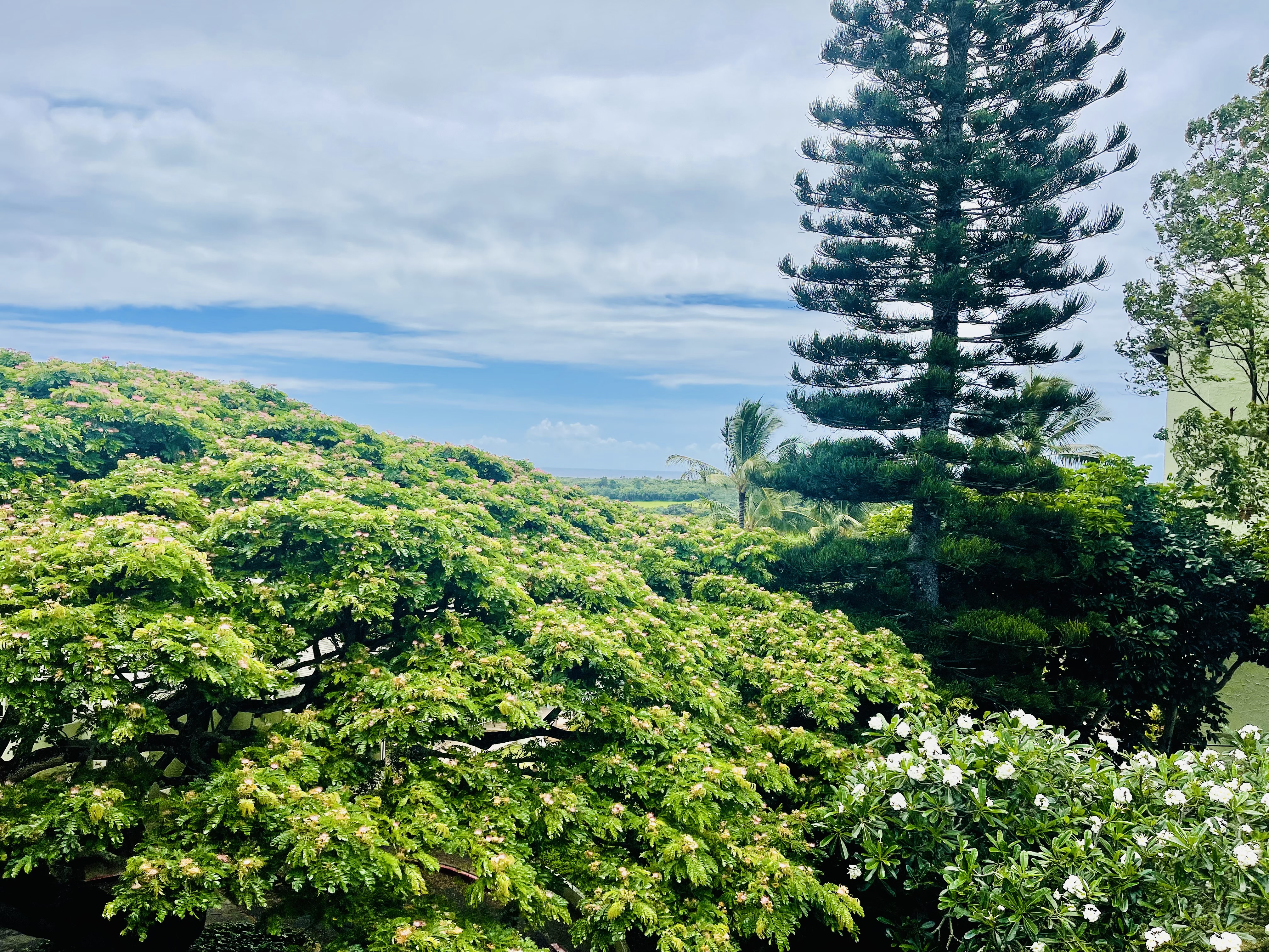 3-3400 Kuhio Hwy, B303, Lihue, HI 96766