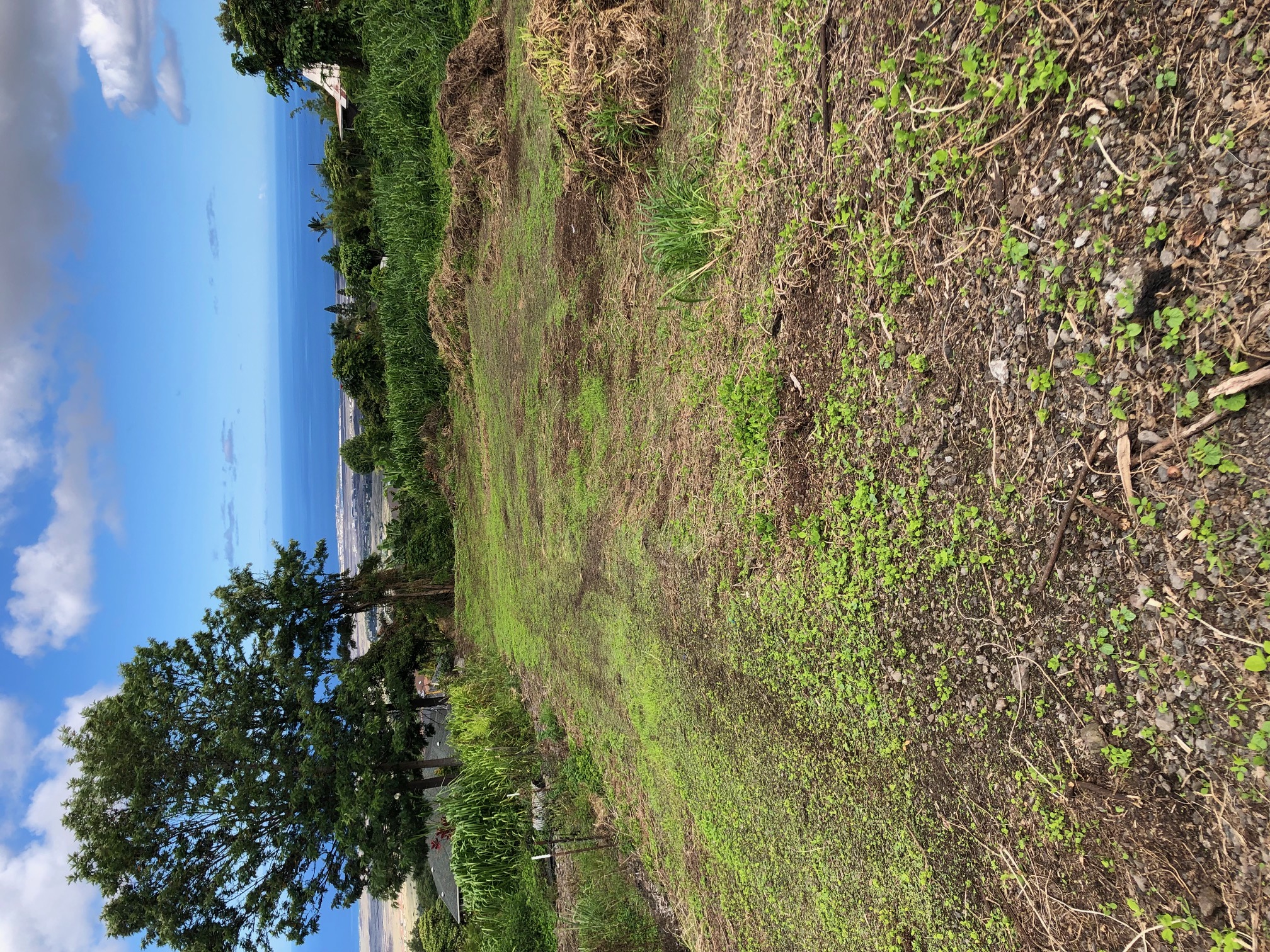 73-4270 Leimomi St, Kailua Kona, HI 96740