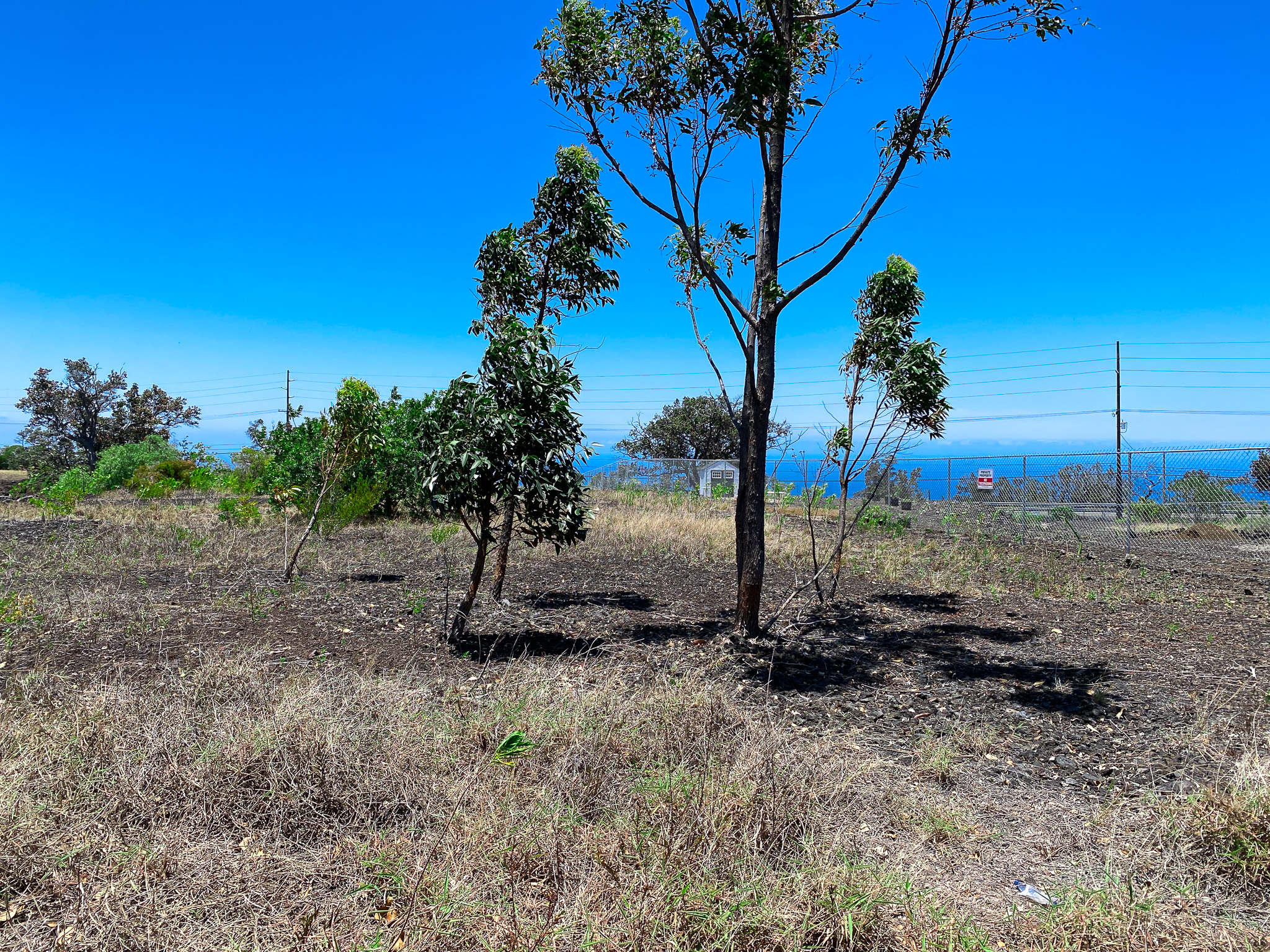 92-1422 Moana Dr, Ocean View, HI 96737