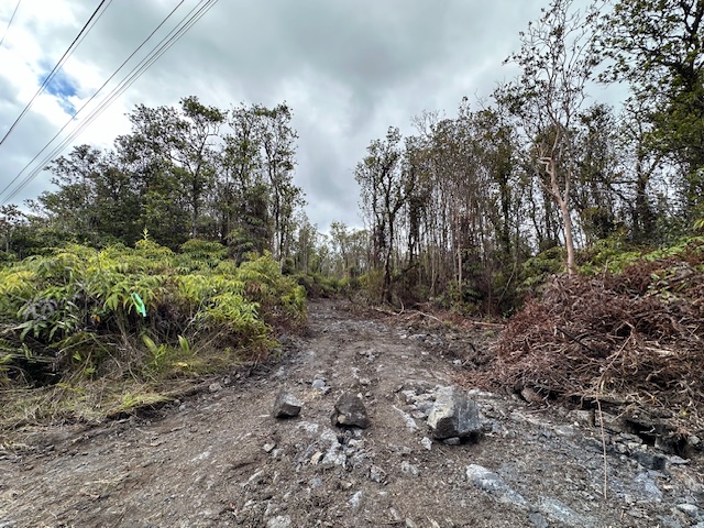11-2023 Alii Wao Rd, Volcano, HI 96785