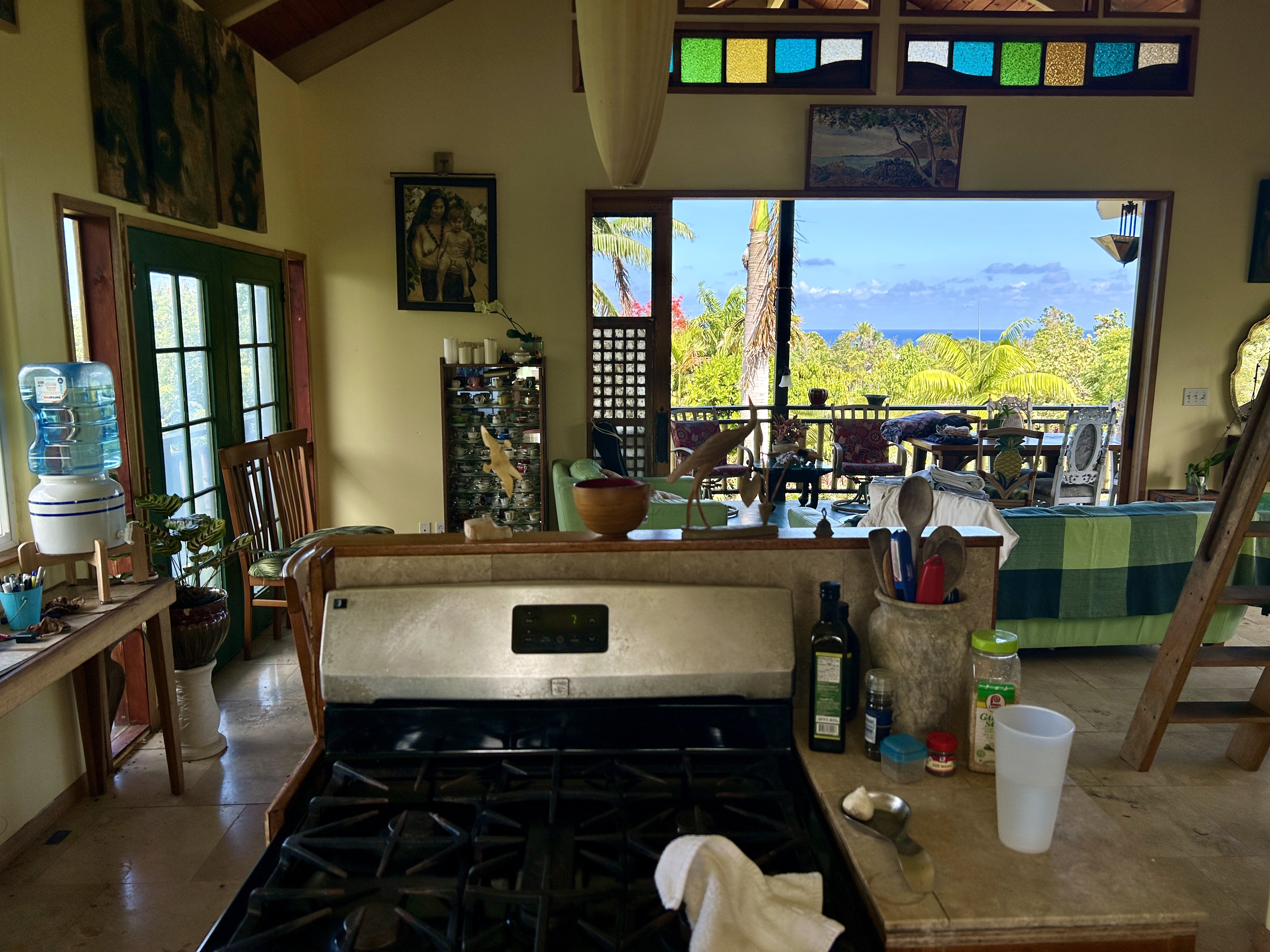 12-204 Oliana Dr, Pahoa, HI 96778