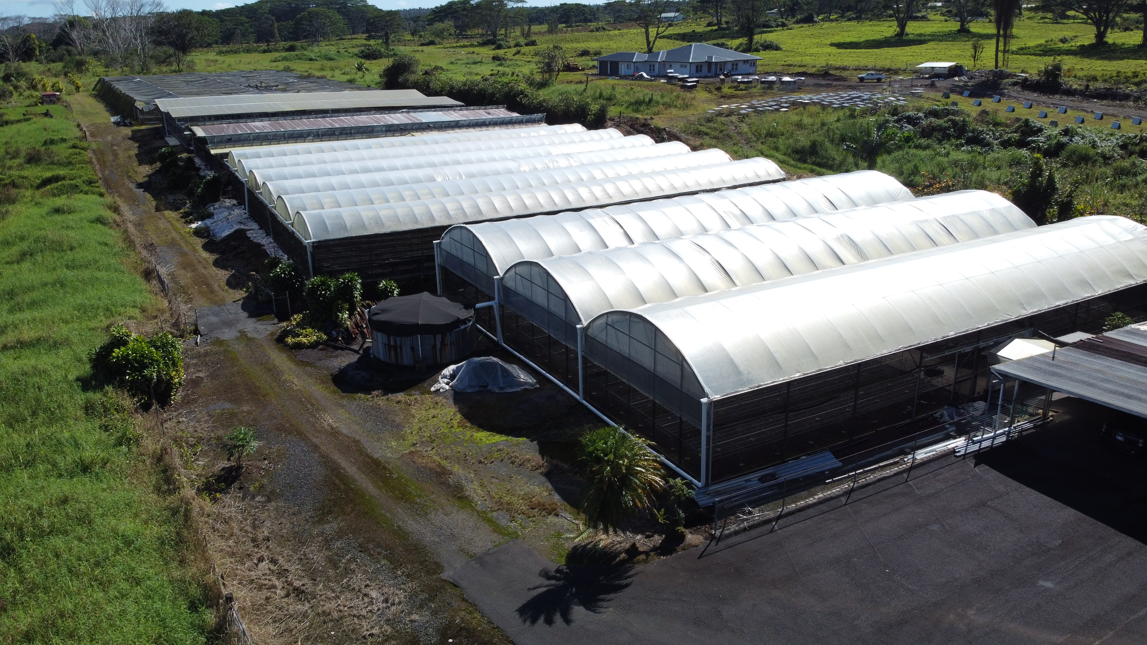 17-1083 Volcano Rd, Mountain View, HI 96771