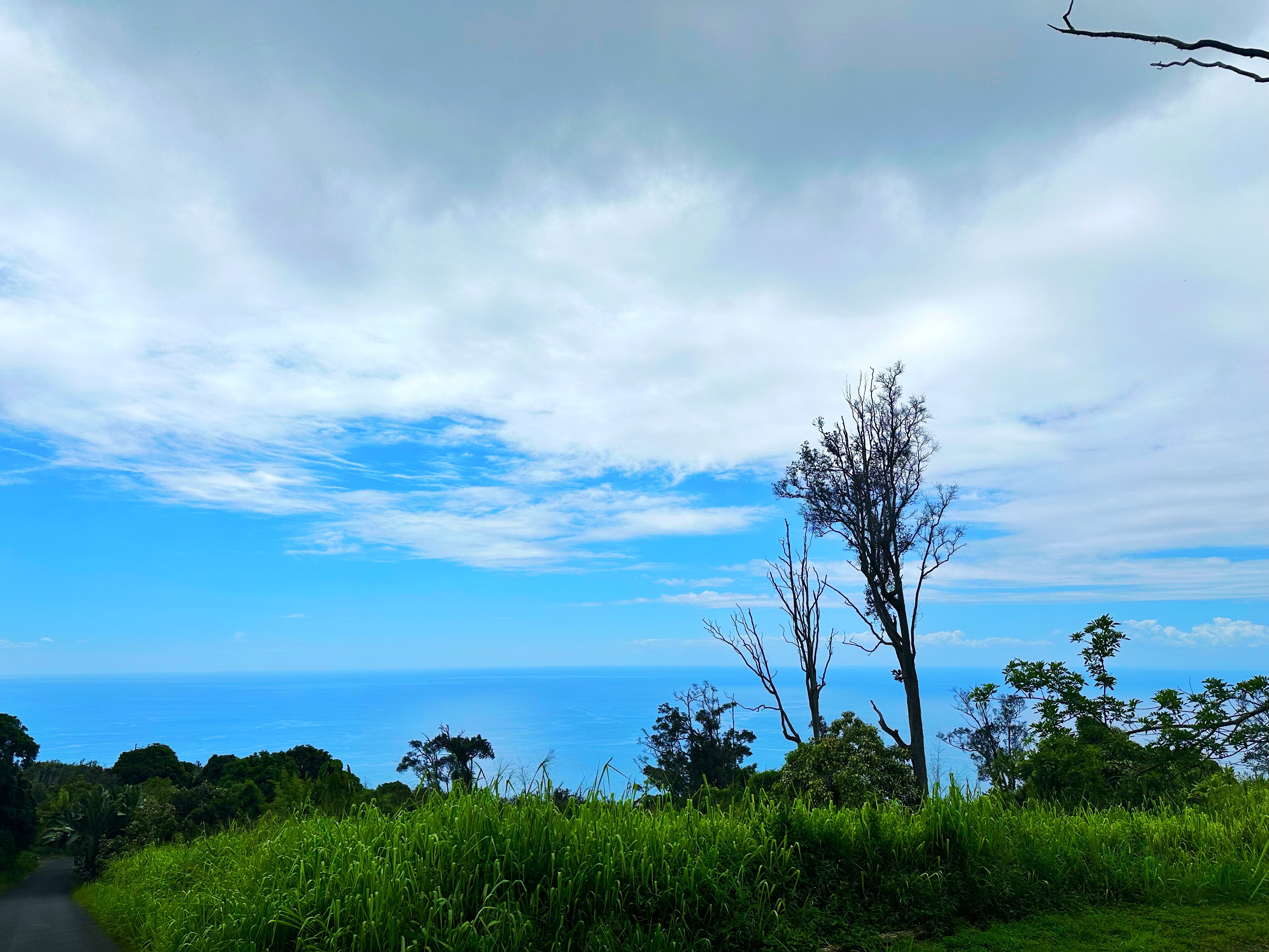 87-530 Ohia Aina Pl, Captain Cook, HI 96704