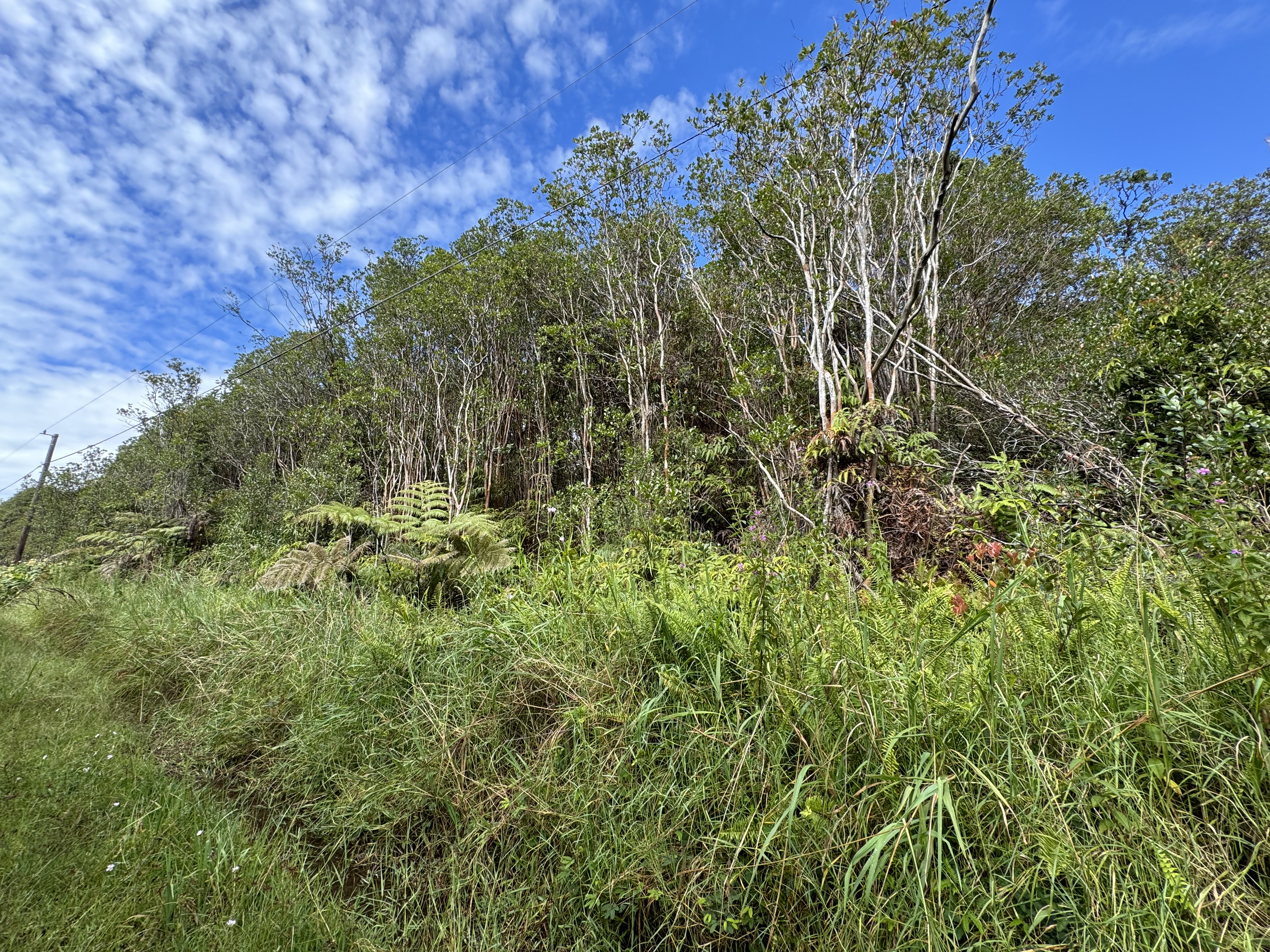 18-2012 Wainani St, Volcano, HI 96785