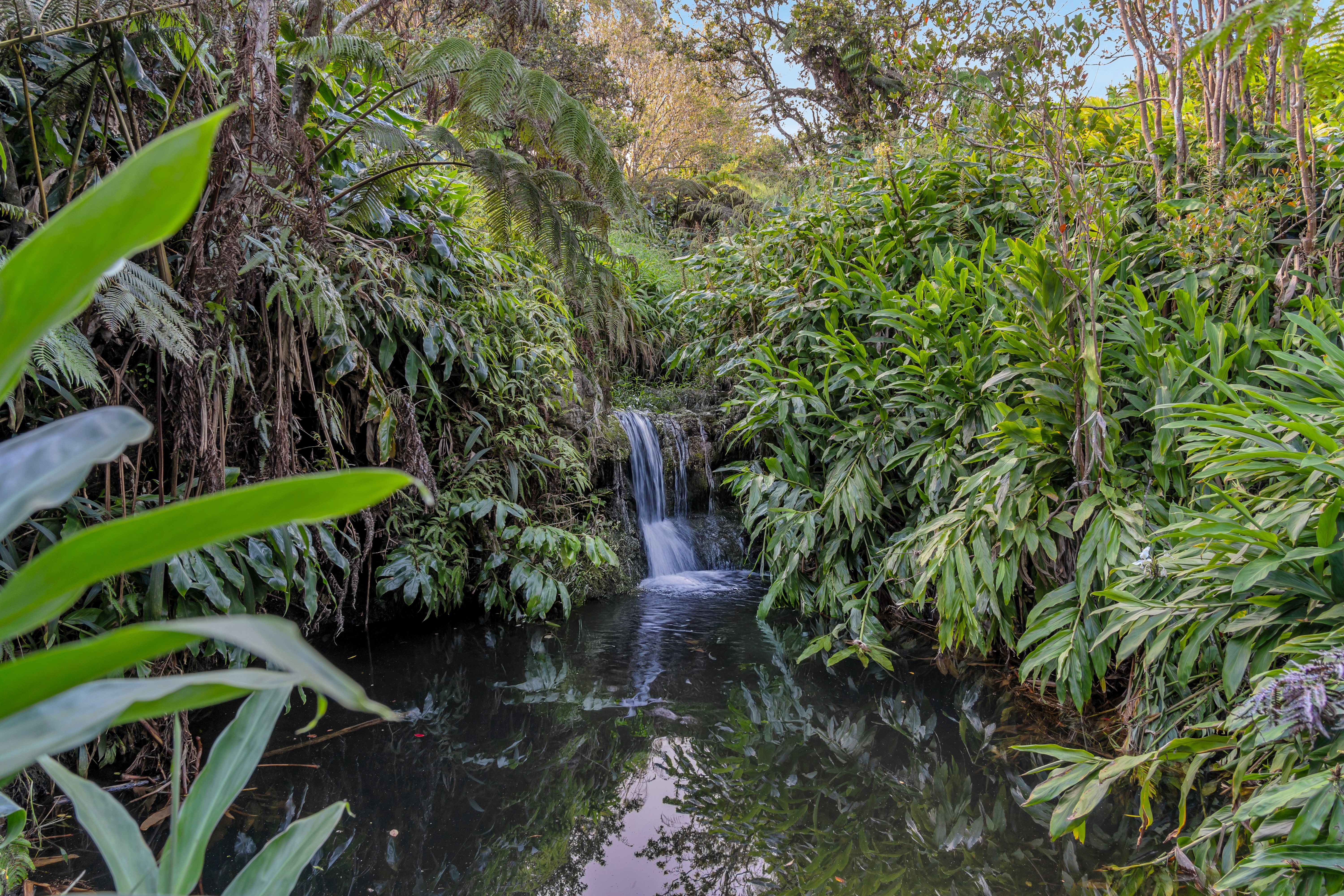 64-5308 Puu Nanea St, Kamuela, HI 96743