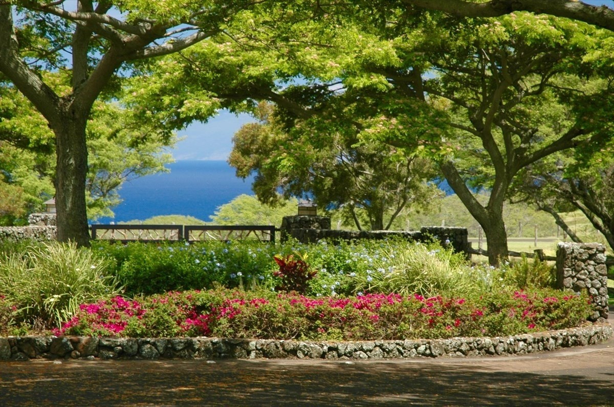 56-113 Pualani Road, Hawi, HI 96719