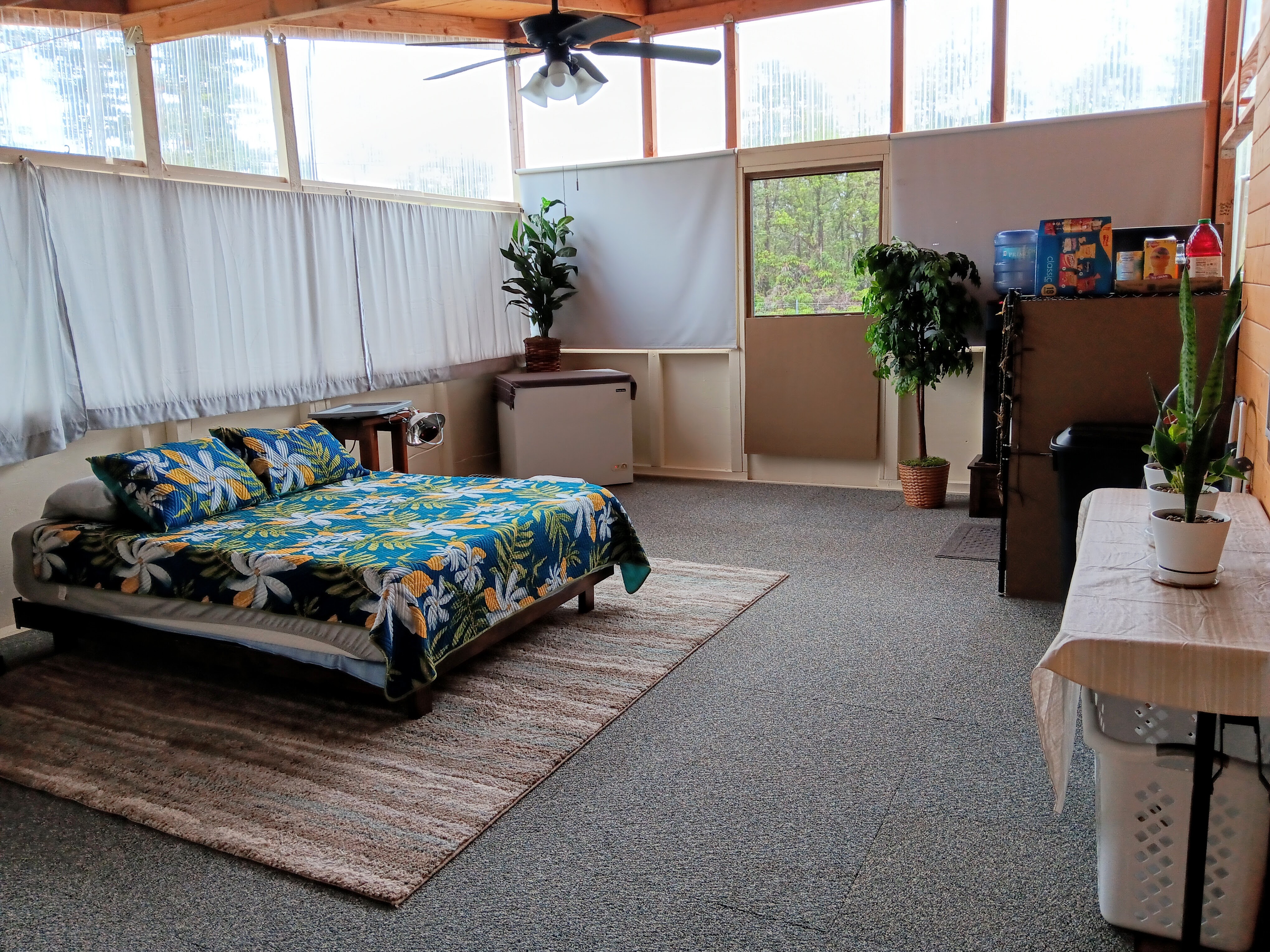 11-2997 Ohia Ave, Volcano, HI 96785