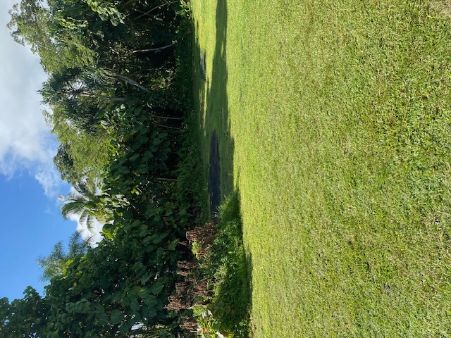 15-2714 Opakapaka St, Pahoa, HI 96778