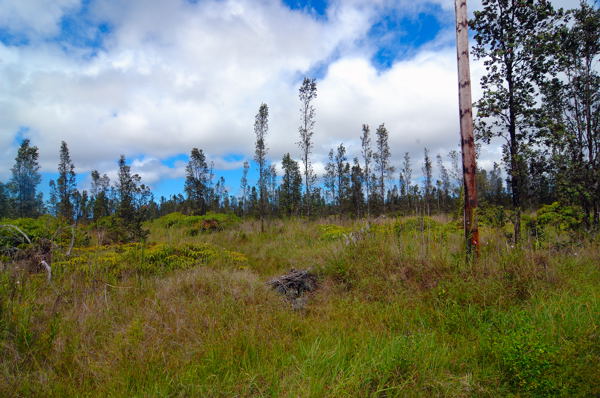 16-1853 Koloa Maoli Rd, Kurtistown, HI 96760