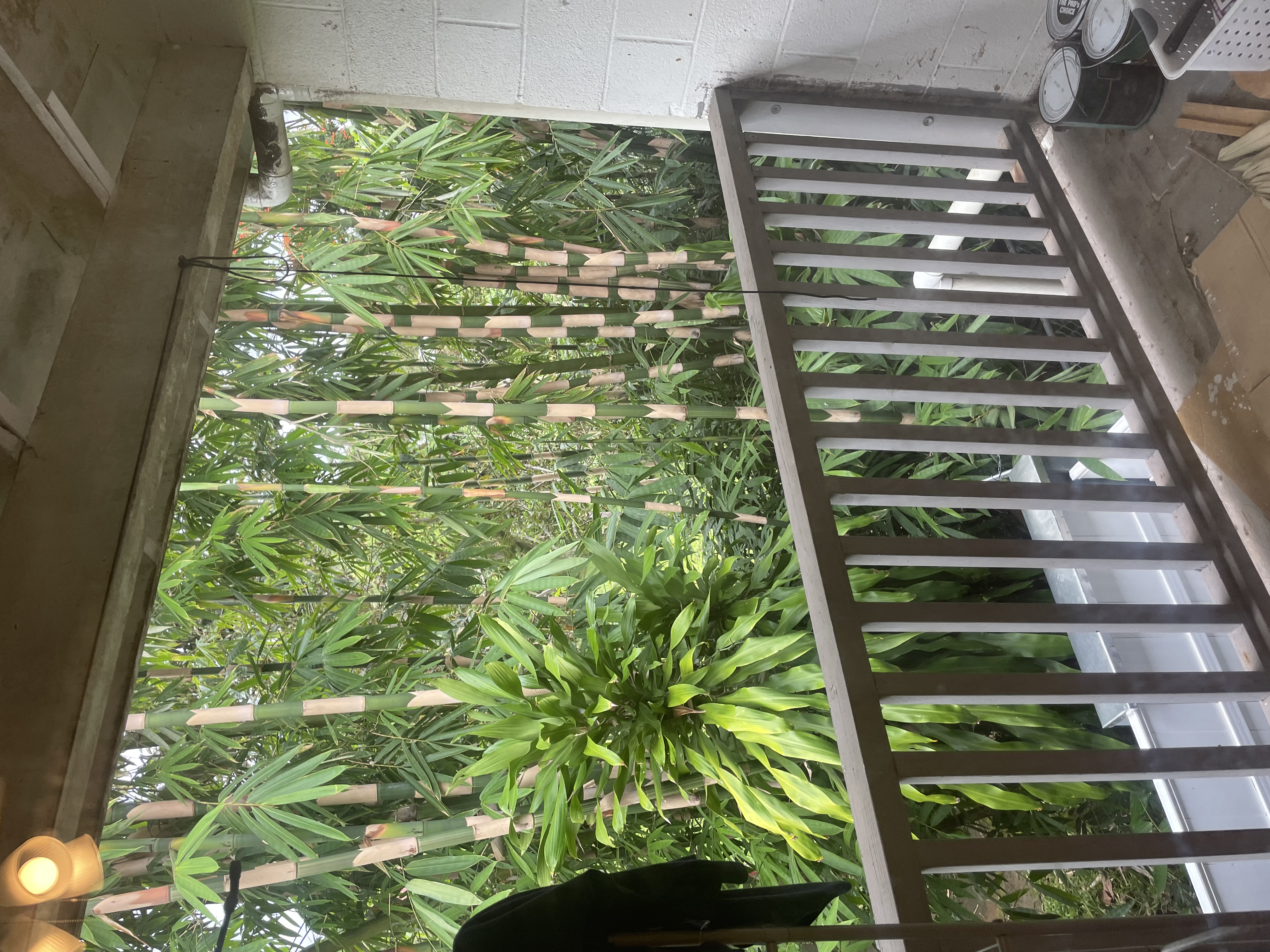 322 Ohai St, 16, Hilo, HI 96720