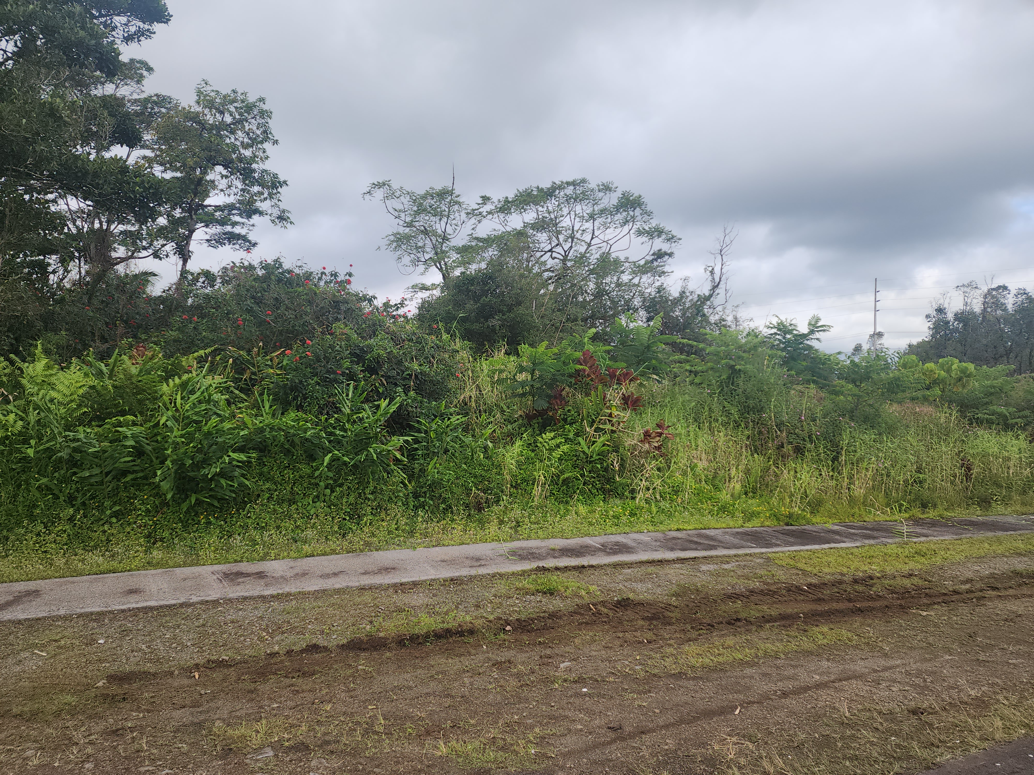 52 Wilder Rd, Hilo, HI 96720