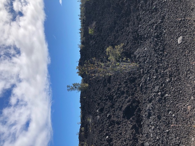 92-8928 Lotus Blossom Ln, Ocean View, HI 96737