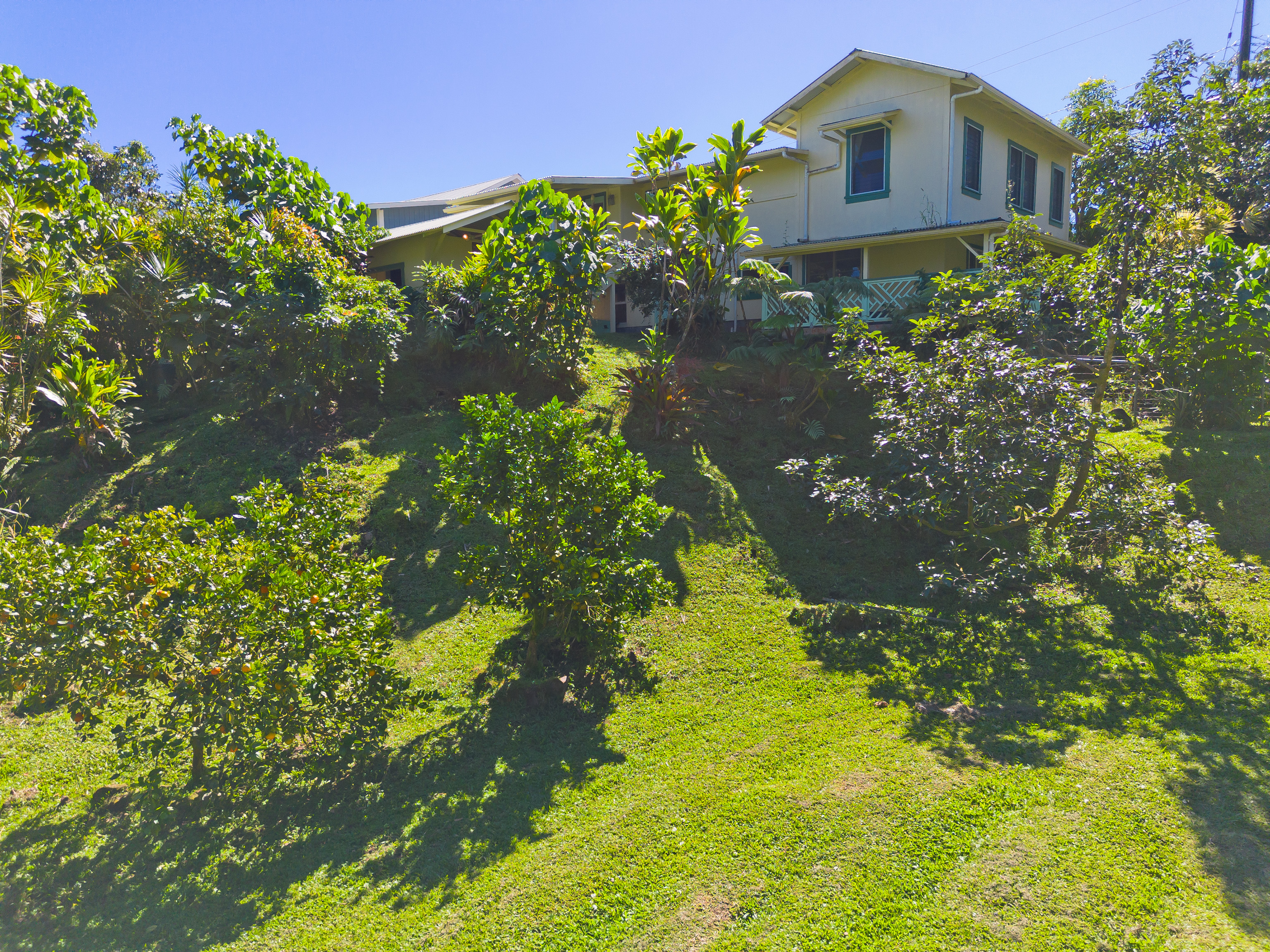 15-1638 Akeakamai Loop, Pahoa, HI 96778
