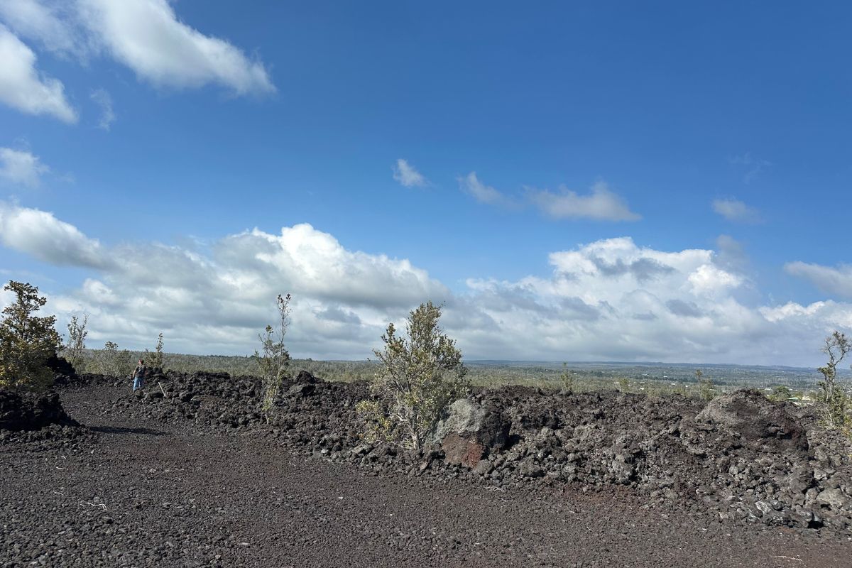 92-1185 Kona Gardens Rd, Ocean View, HI 96737