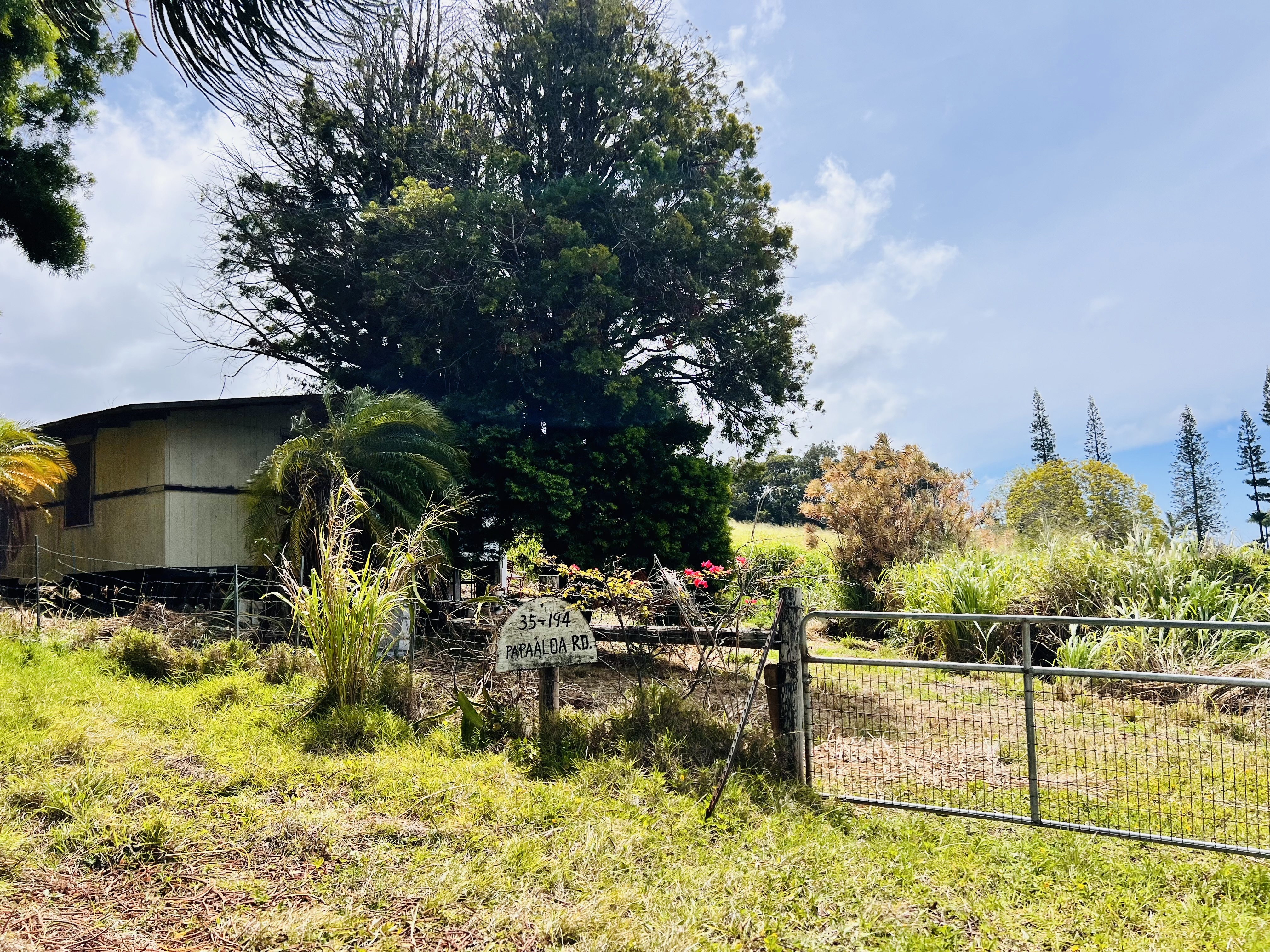 35-194 Papaaloa Rd, Laupahoehoe, HI 96764
