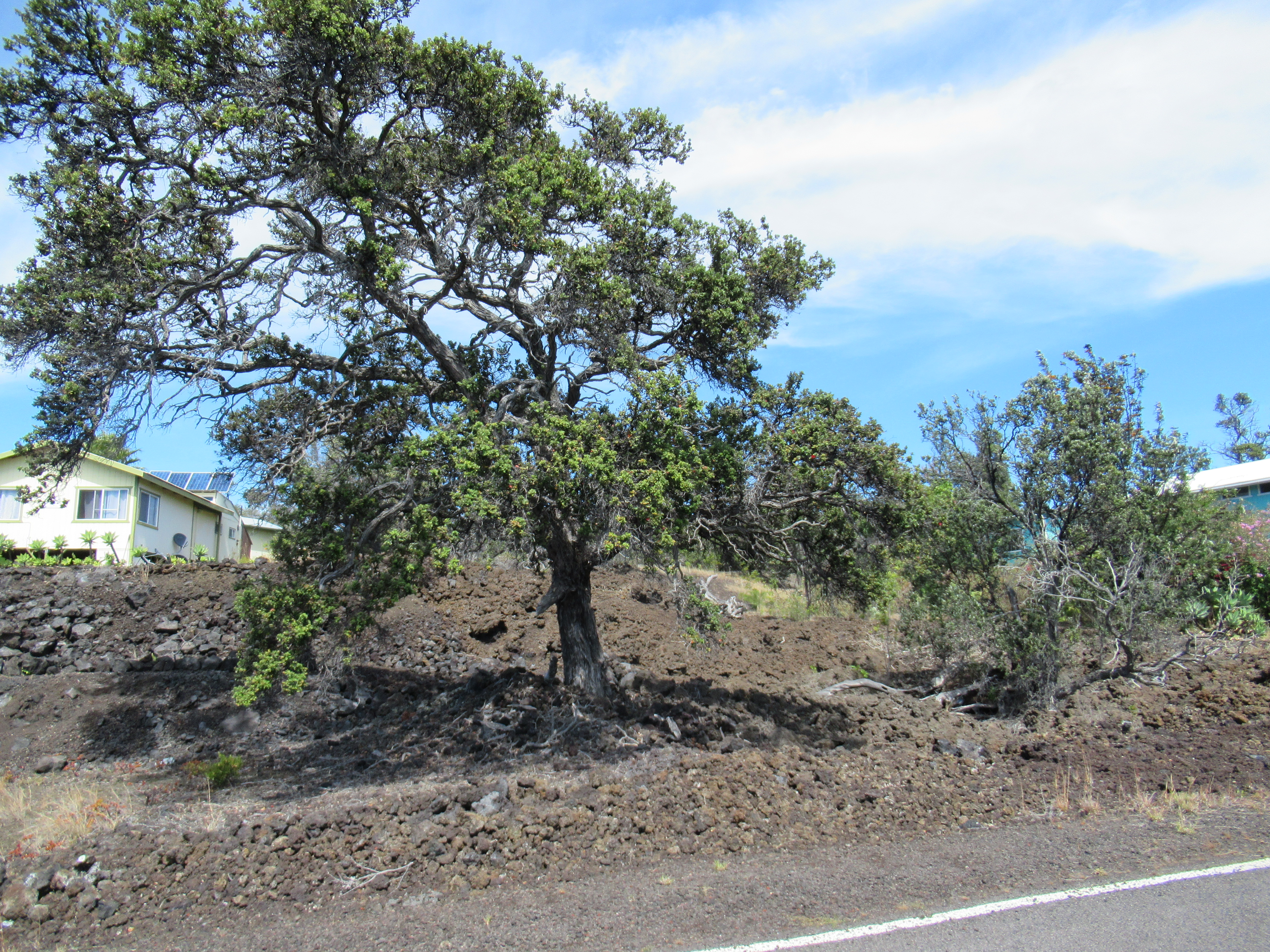 92-1577 Donola Dr, Ocean View, HI 96737