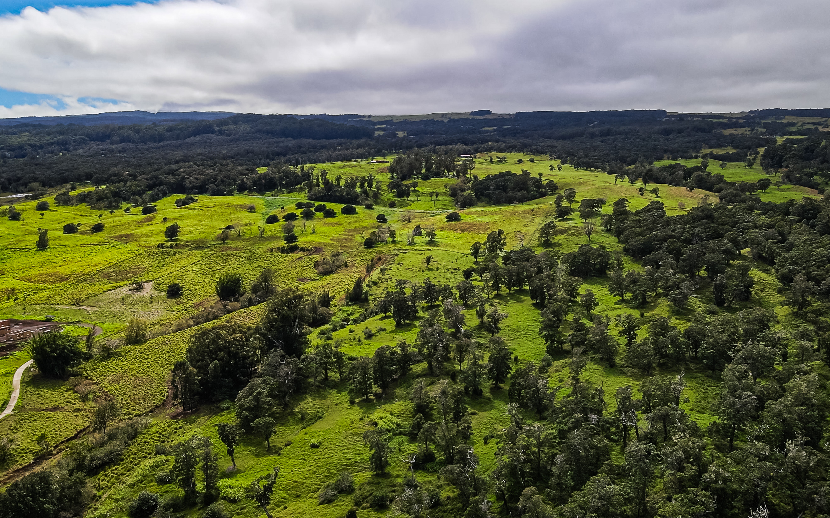 43-1815 Manienie Rd, Paauilo, HI 96776