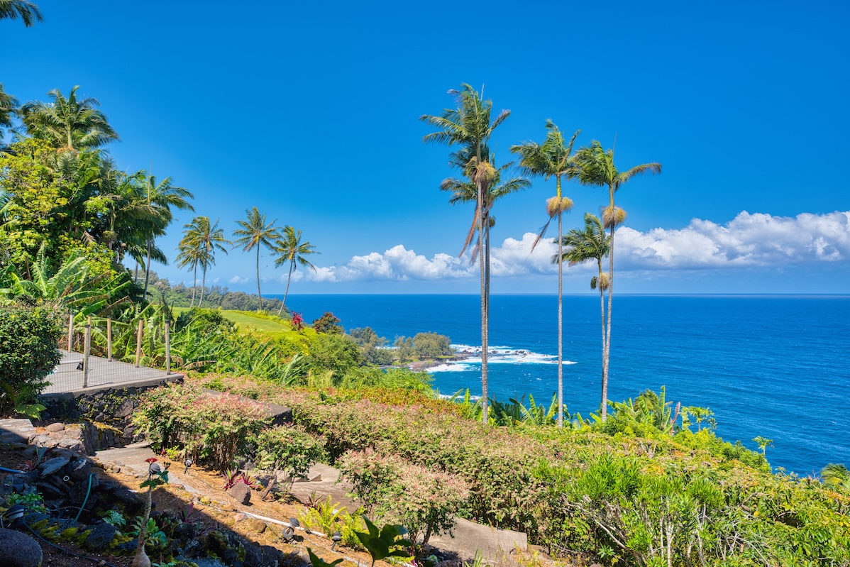 36-2335 Old Mamalahoa Highway, Laupahoehoe, HI 96764