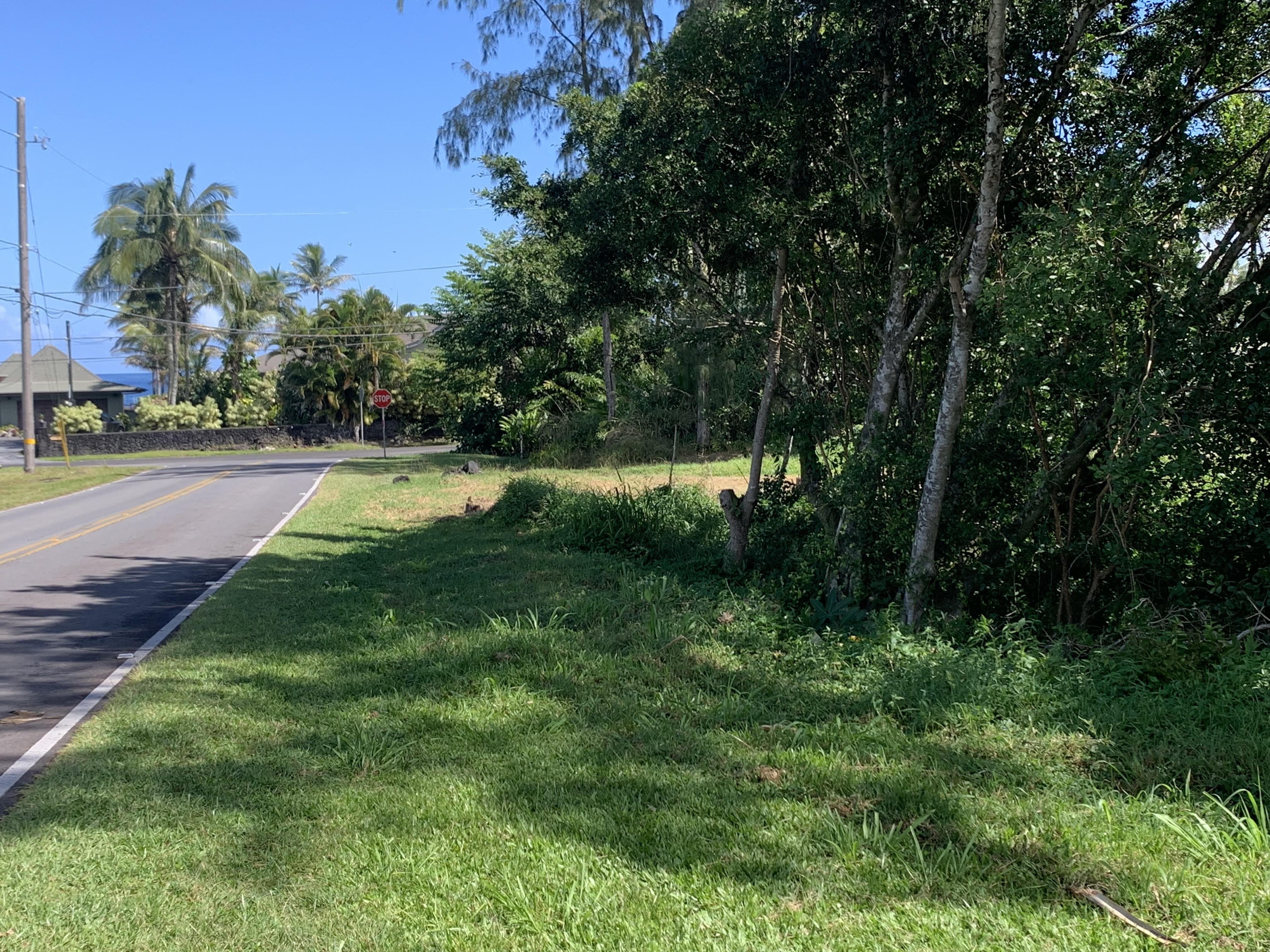 15-1005 Wahi Heiau Pl, Keaau, HI 96749