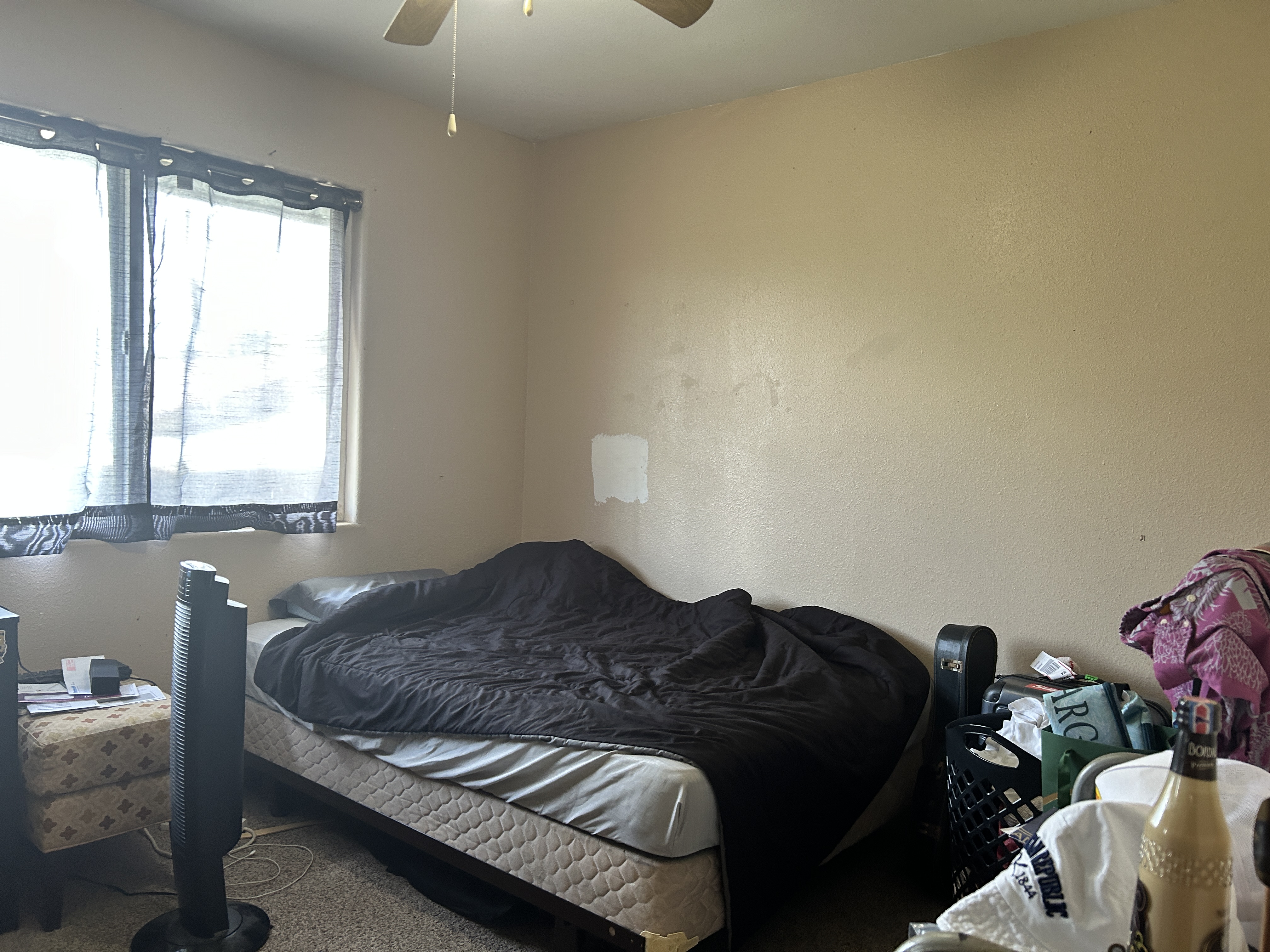 146 Nahalea Ave, Hilo, HI 96720