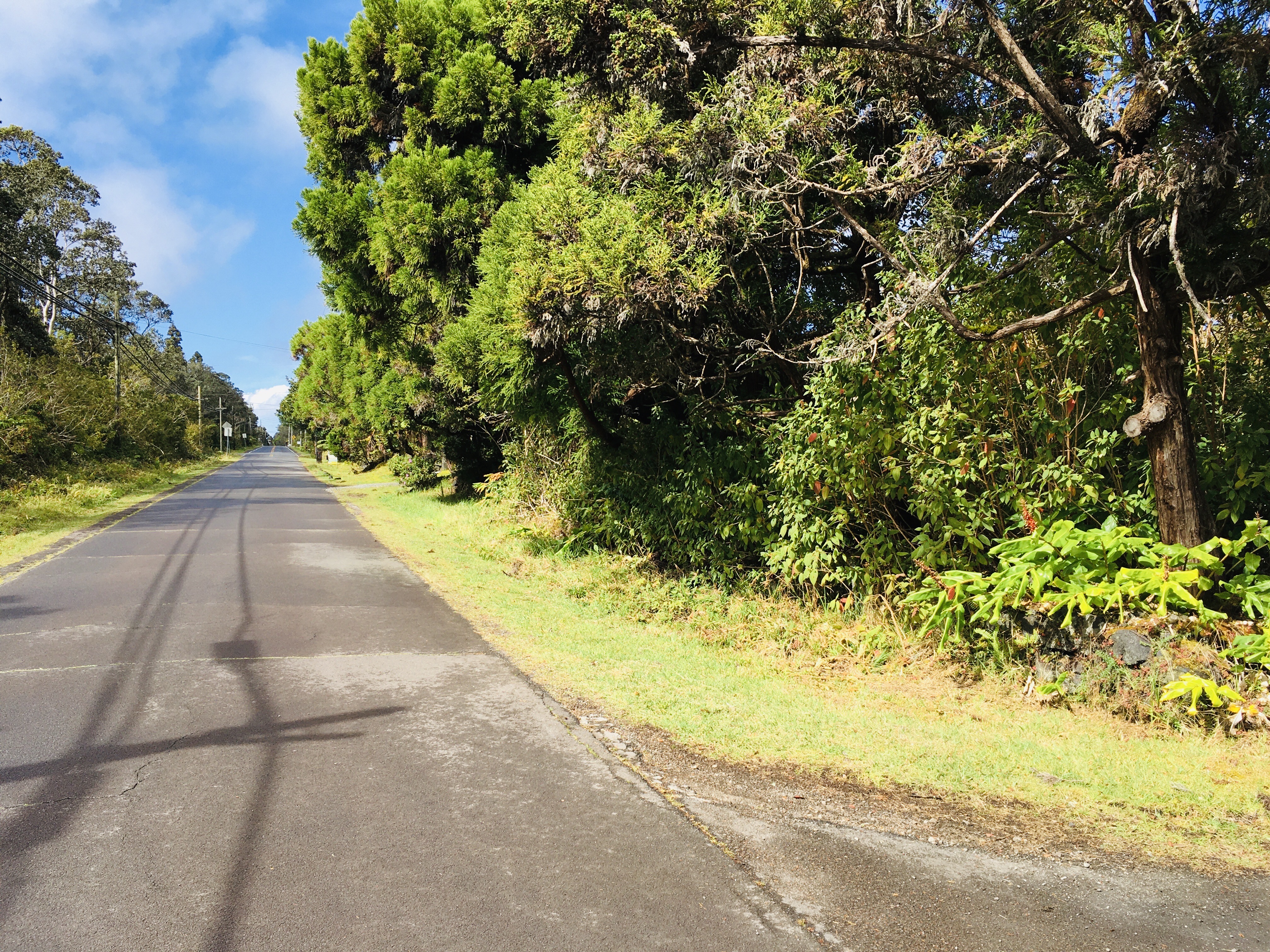 19-3862 Old Volcano Rd, Volcano, HI 96785