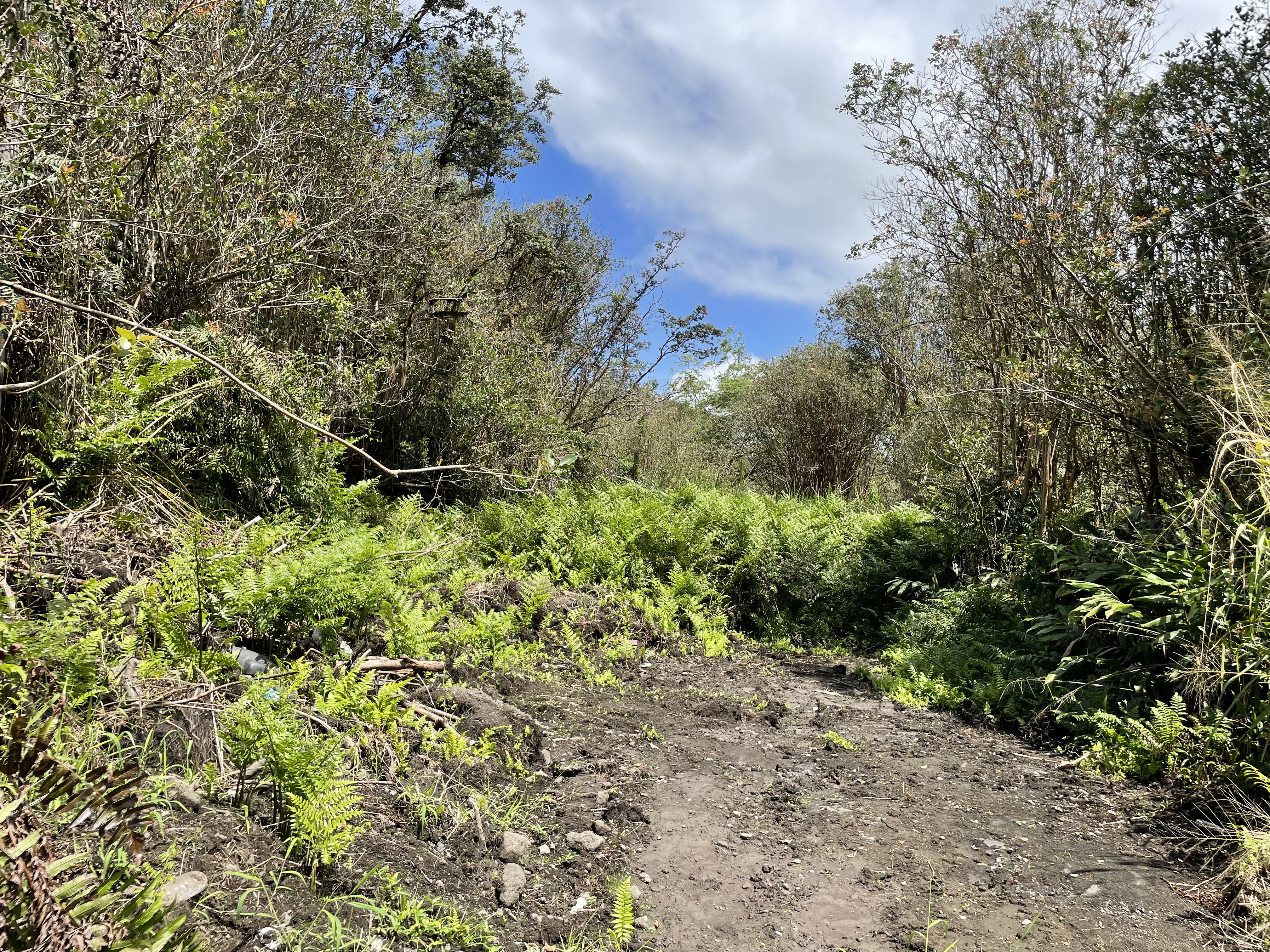 16-1153-A Uhini Ana Rd, Mountain View, HI 96760