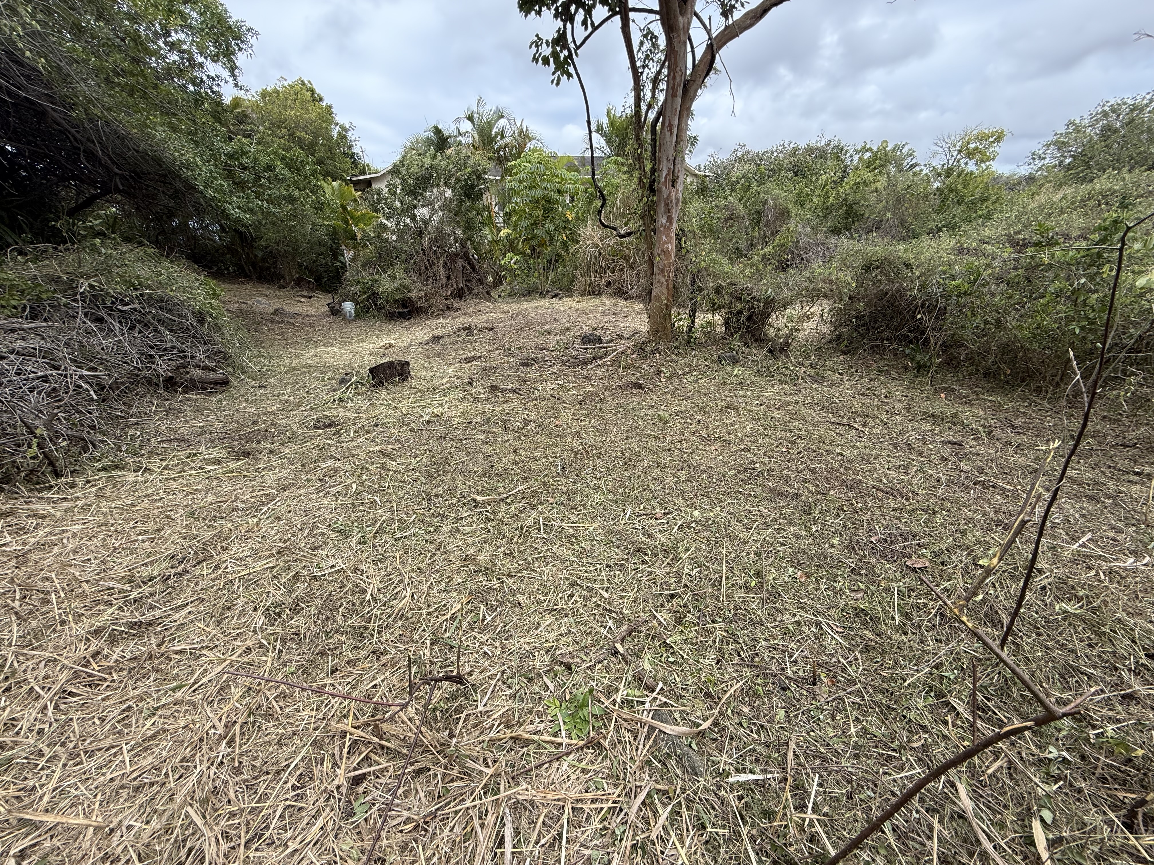 94-1575 Haehae St, Naalehu, HI 96772