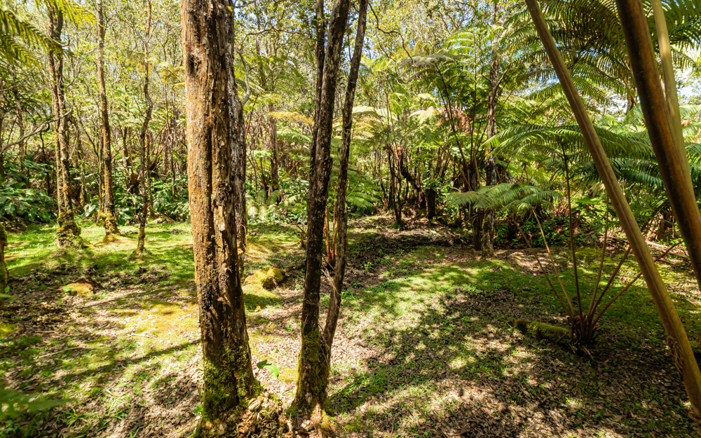 11-3300-A Ala Oki Pl, Volcano, HI 96785