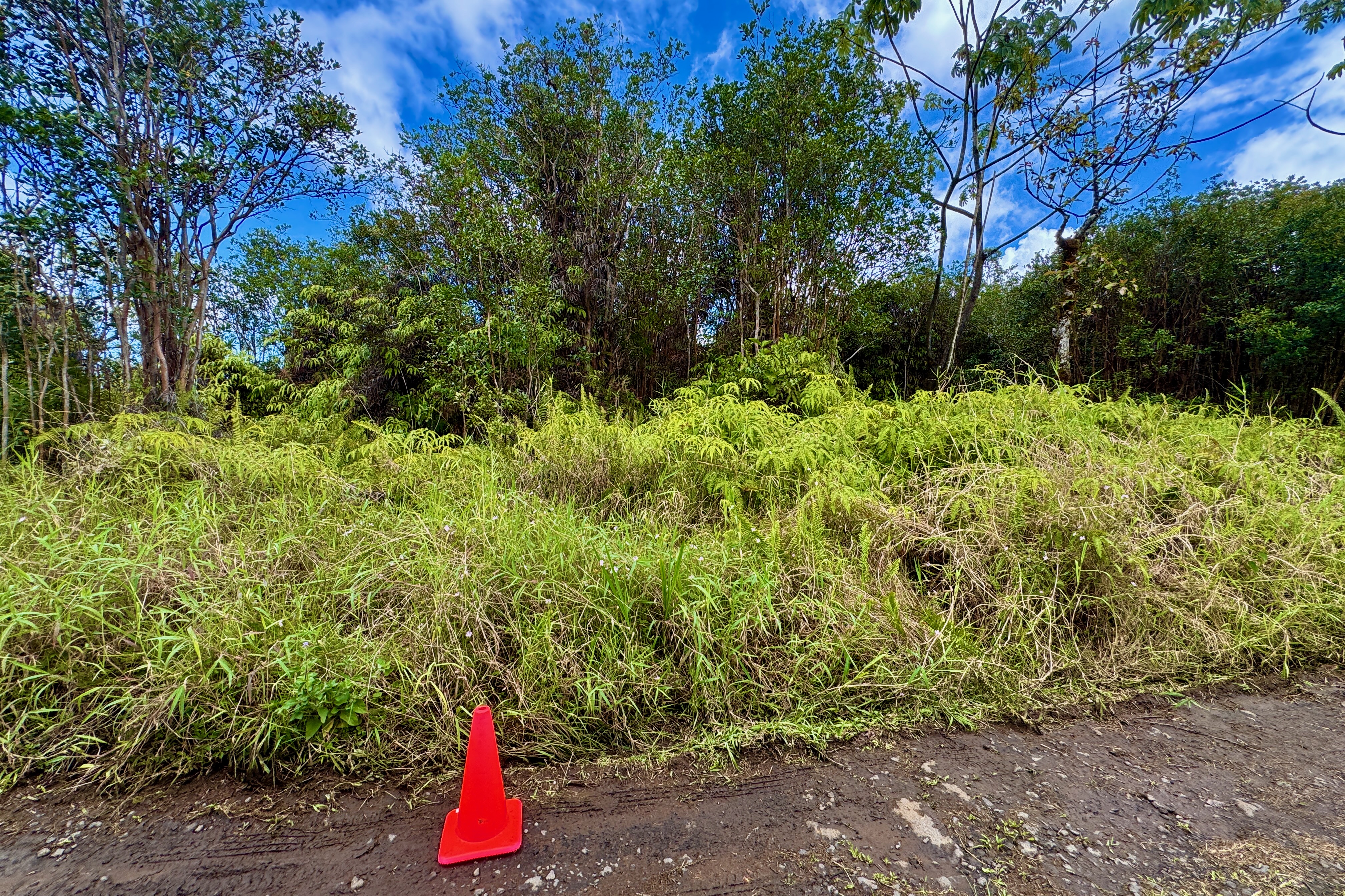 16-1495 Io Kea Rd, Mountain View, HI 96760