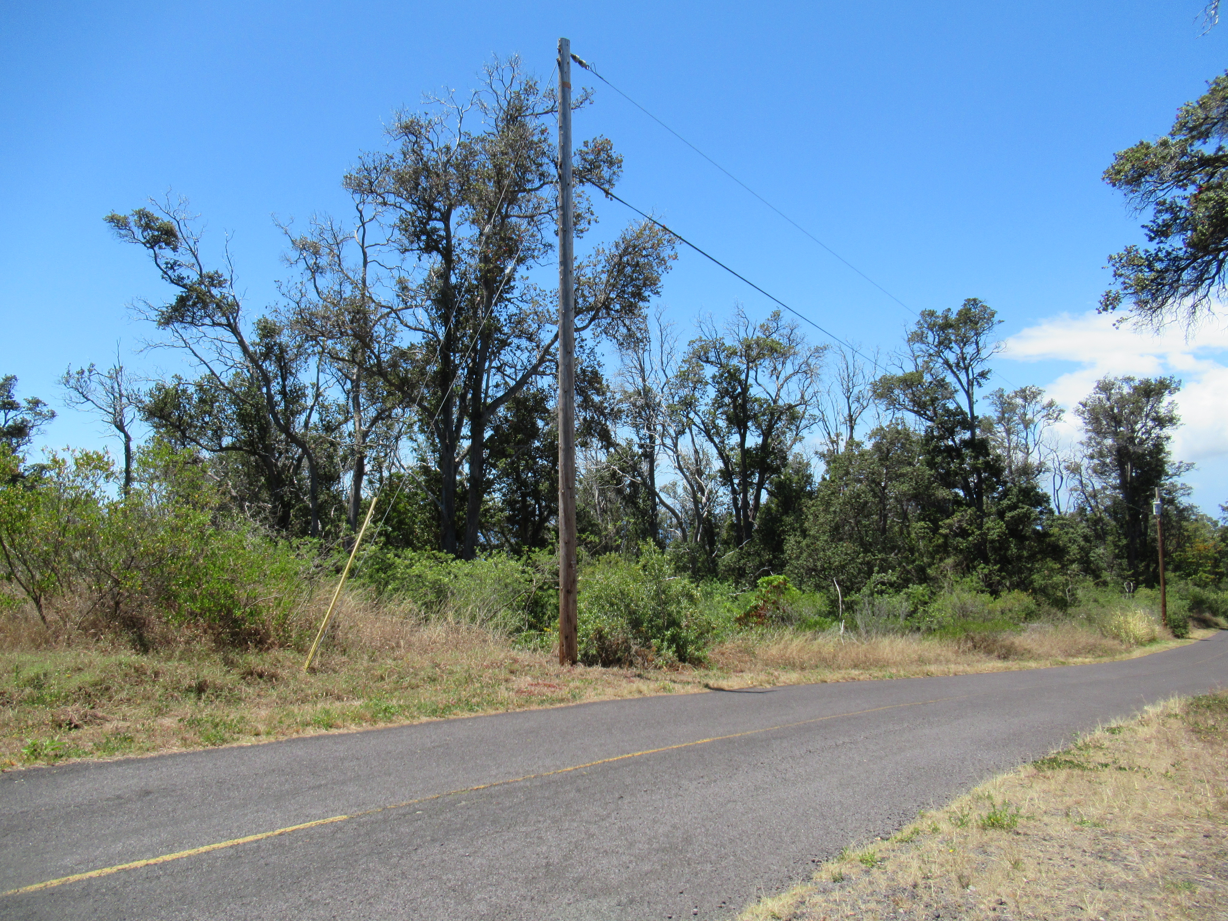 92-8449 Bamboo Ln, Ocean View, HI 96737