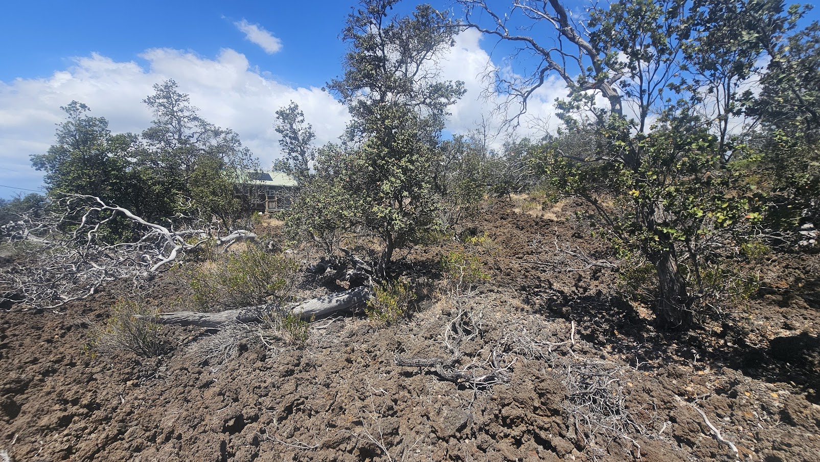 92-1673 Walaka Dr, Ocean View, HI 96737