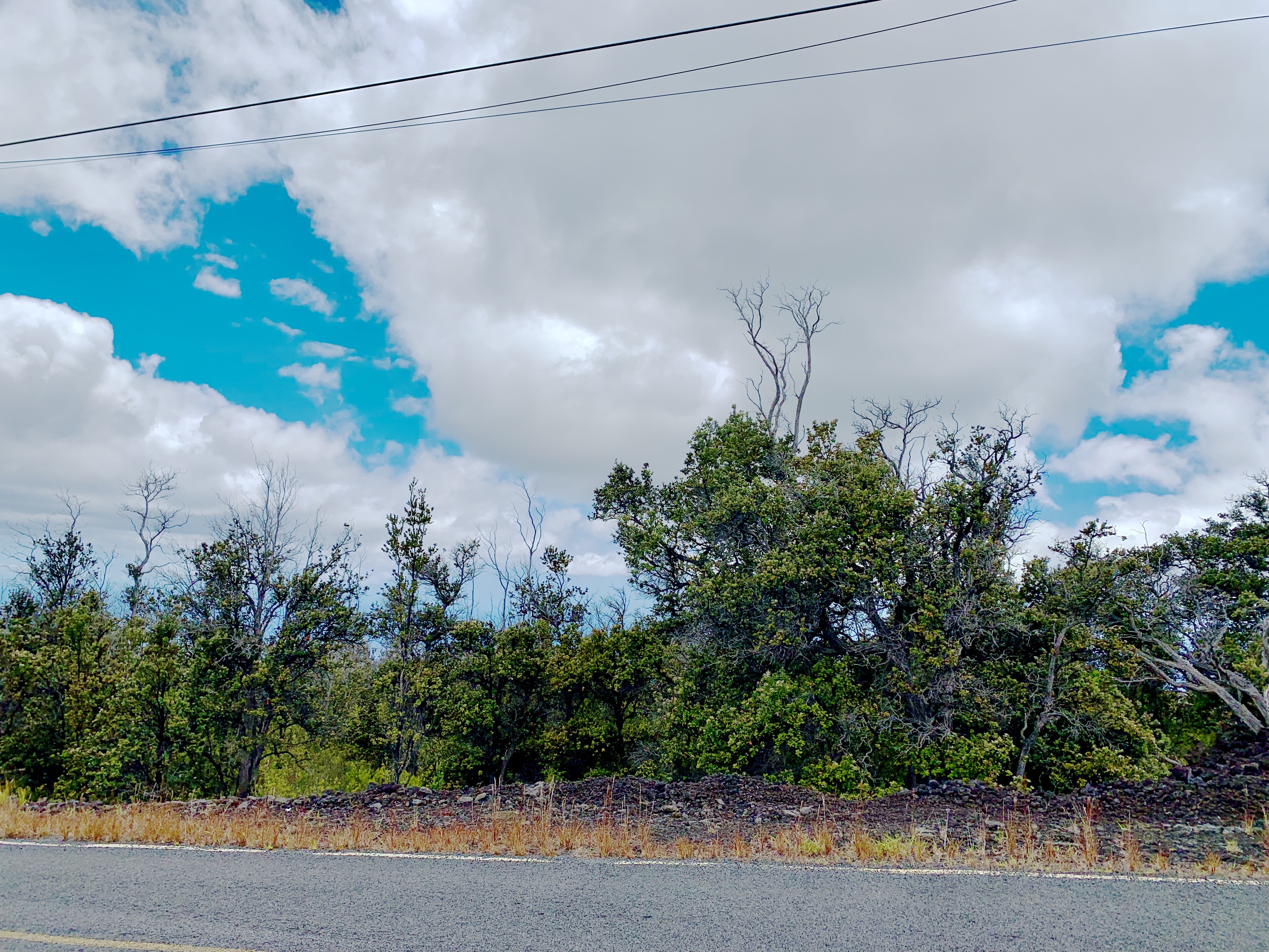 92-8429 Koa Ln, Ocean View, HI 96737