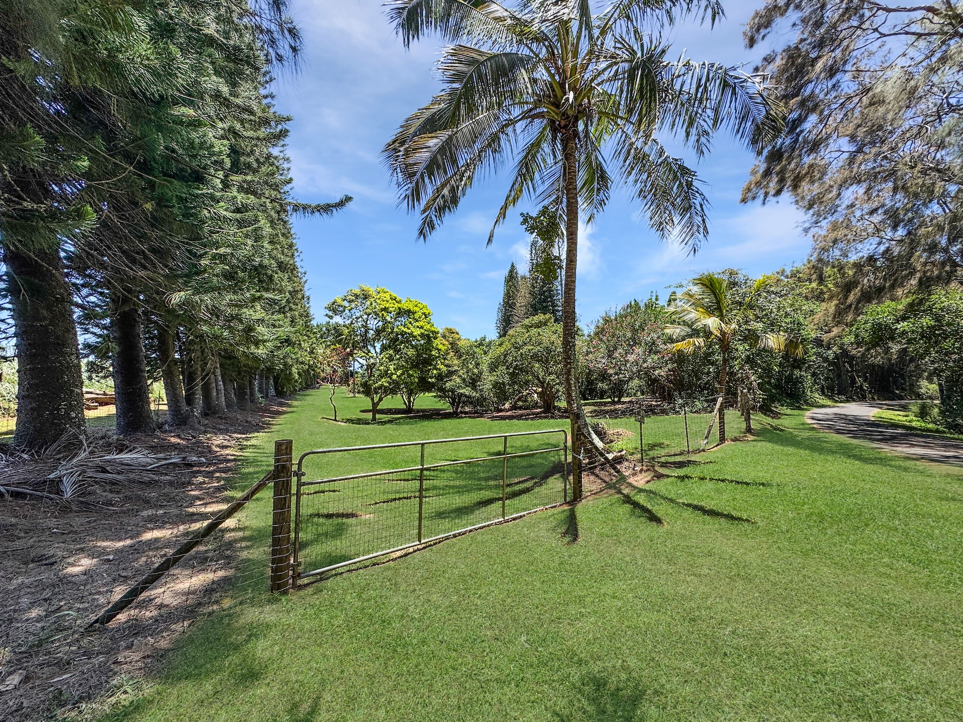 55-1096 Kaauhuhu Homestead Rd, Hawi, HI 96755