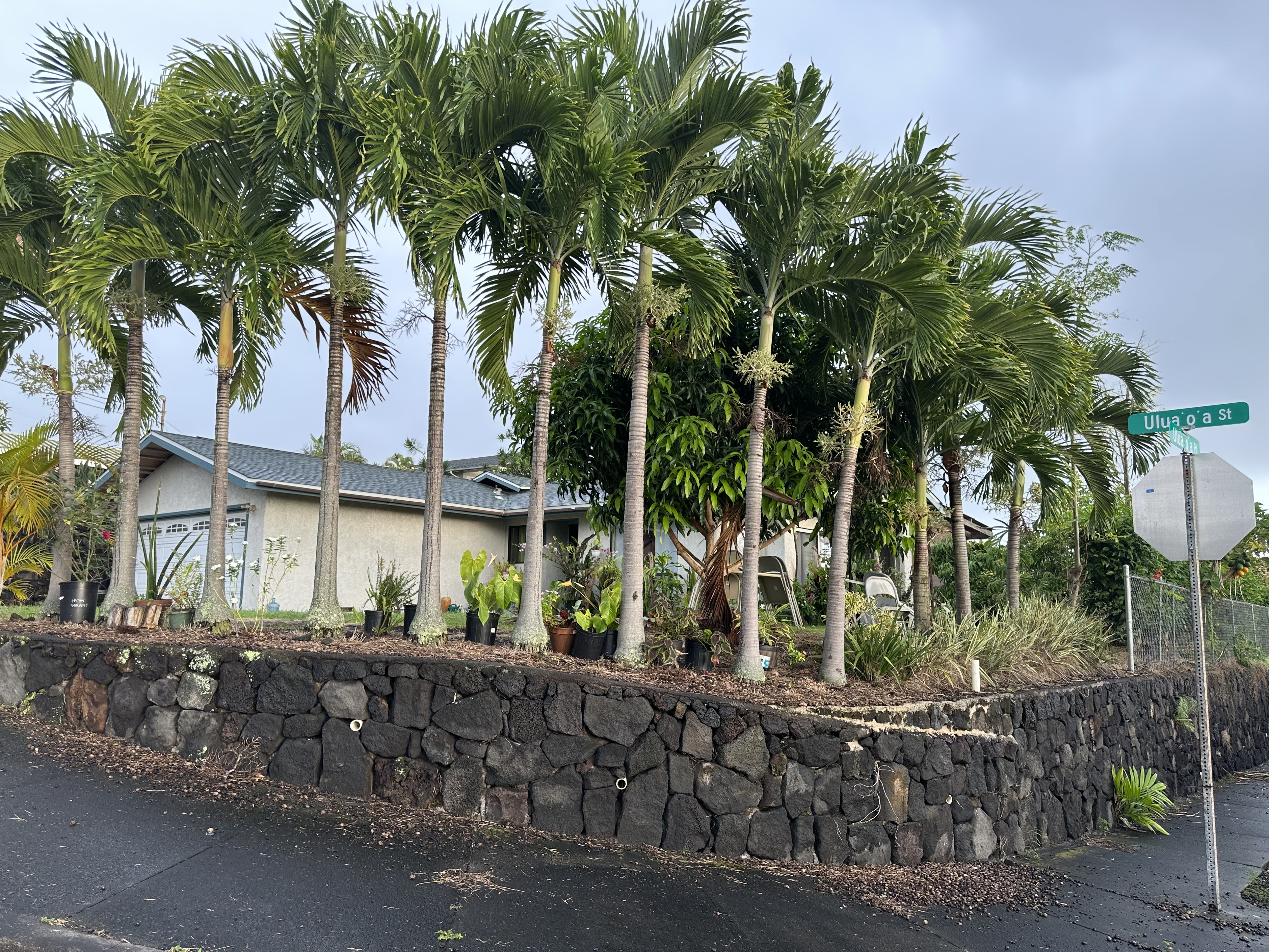 74-834 Uluaoa St, Kailua-Kona, HI 96740