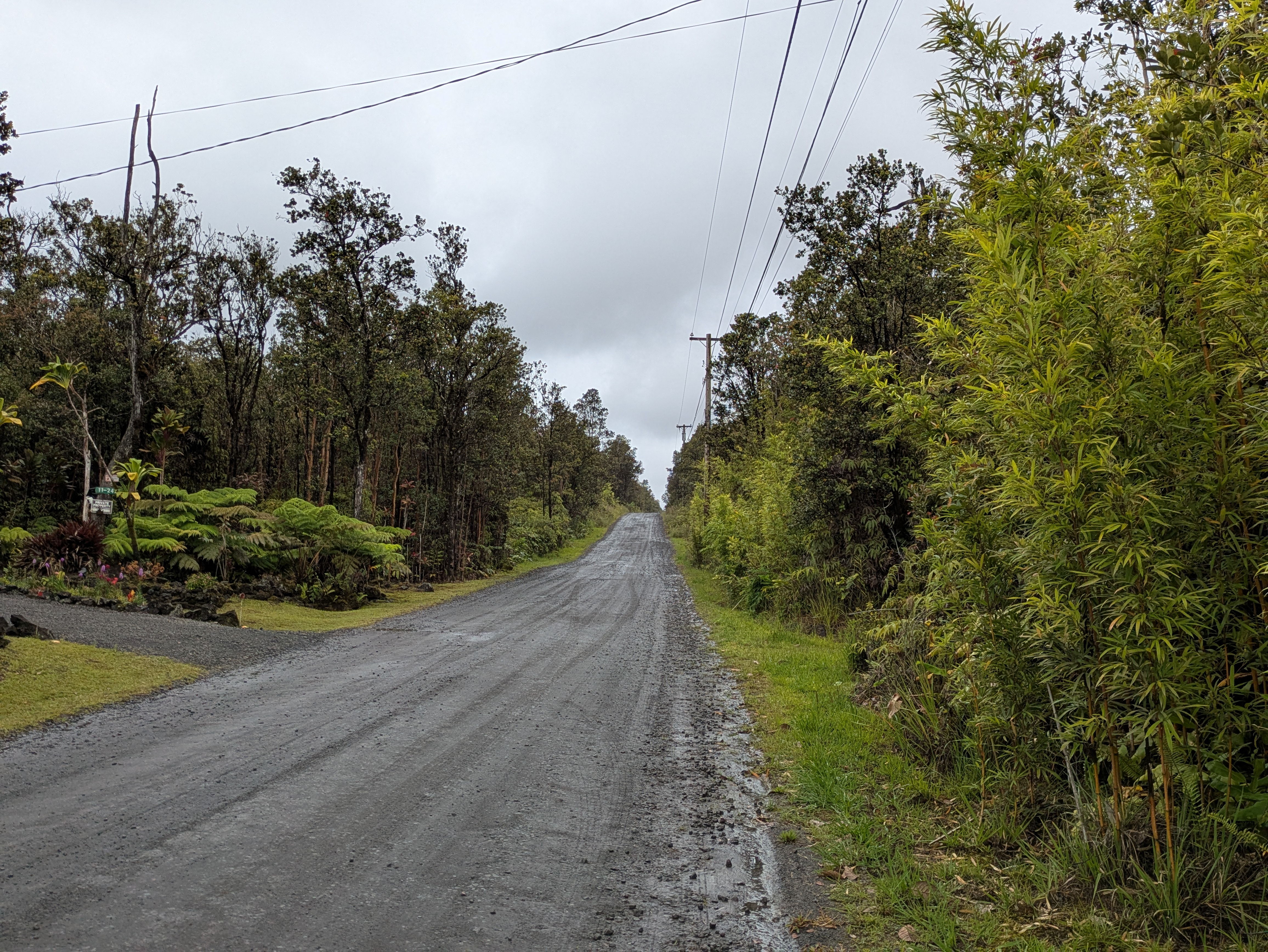 49 Kokokahi Rd, Volcano, HI 96785