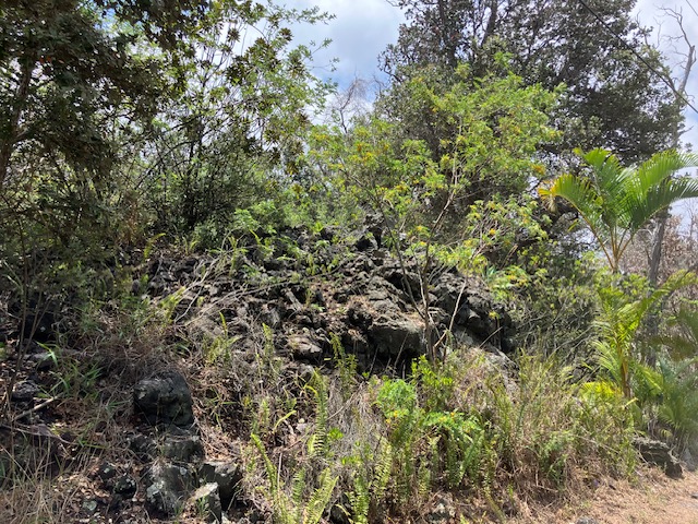 92-8884 Lotus Blossom Ln, Ocean View, HI 96737