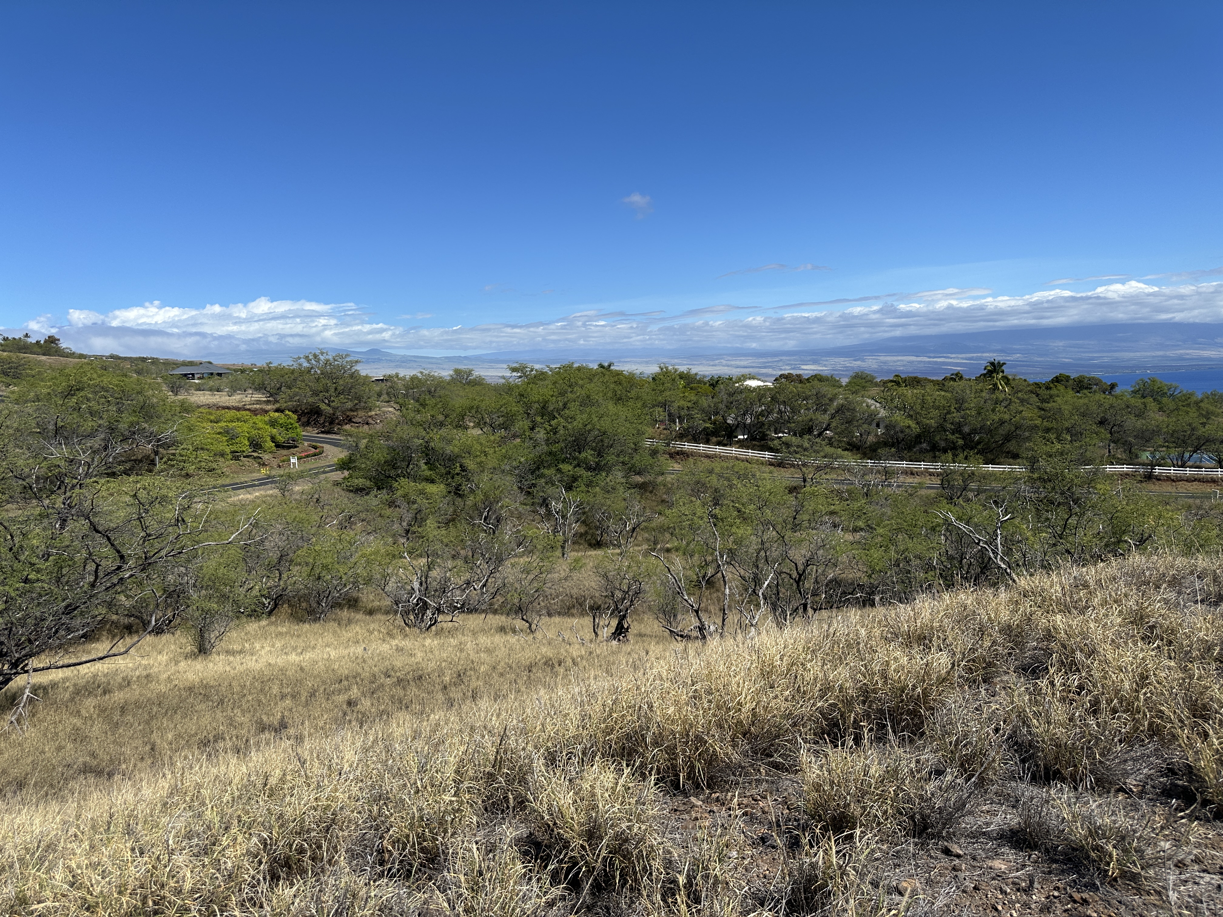 59-106 Olomana Rd, Kamuela, HI 96743