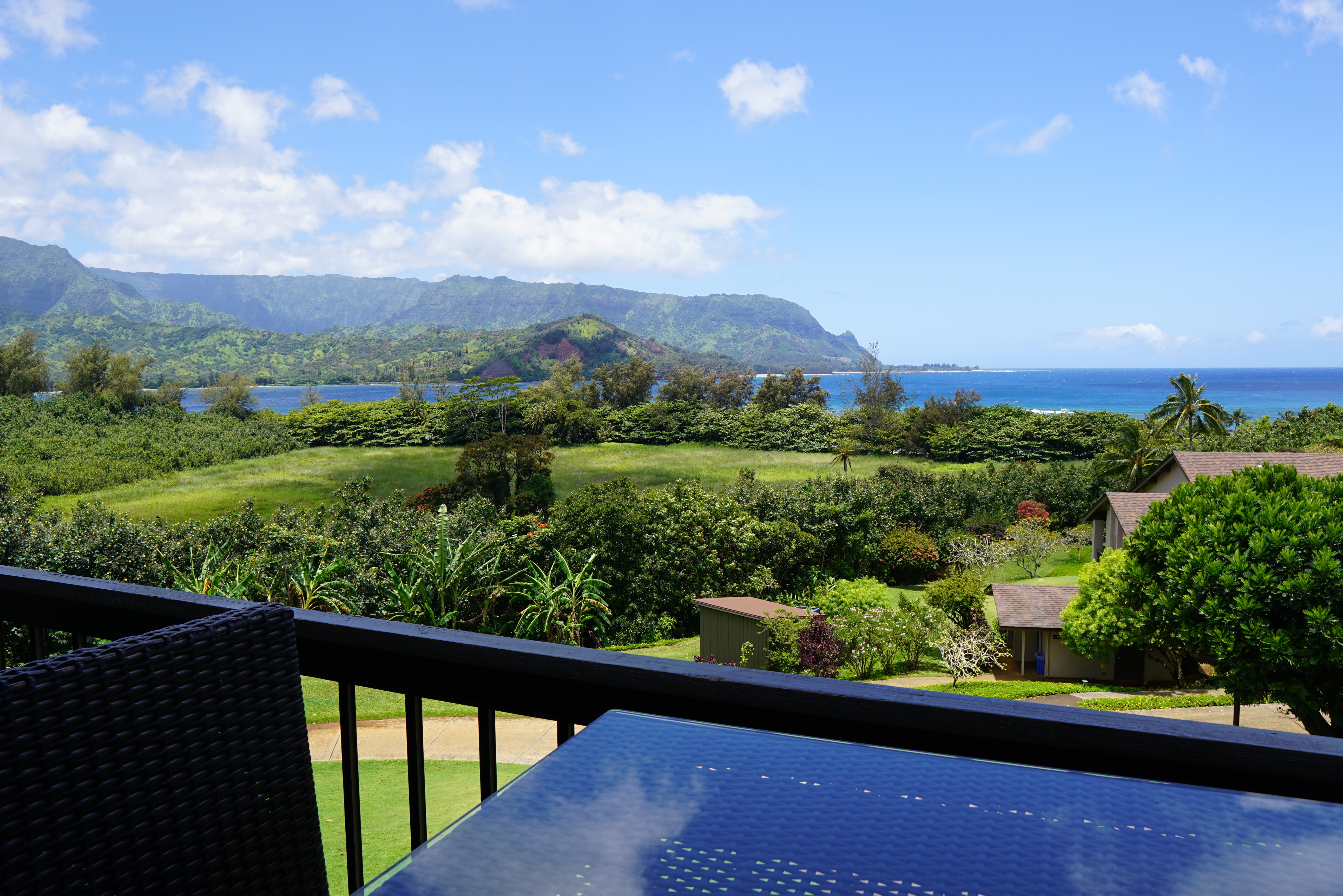 5380 Honoiki Rd, J33, Princeville, HI 96722