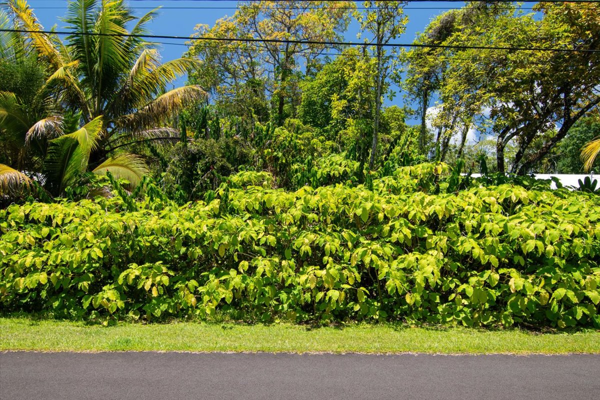 15-175 Puni Lapa Loop, Pahoa, HI 96778
