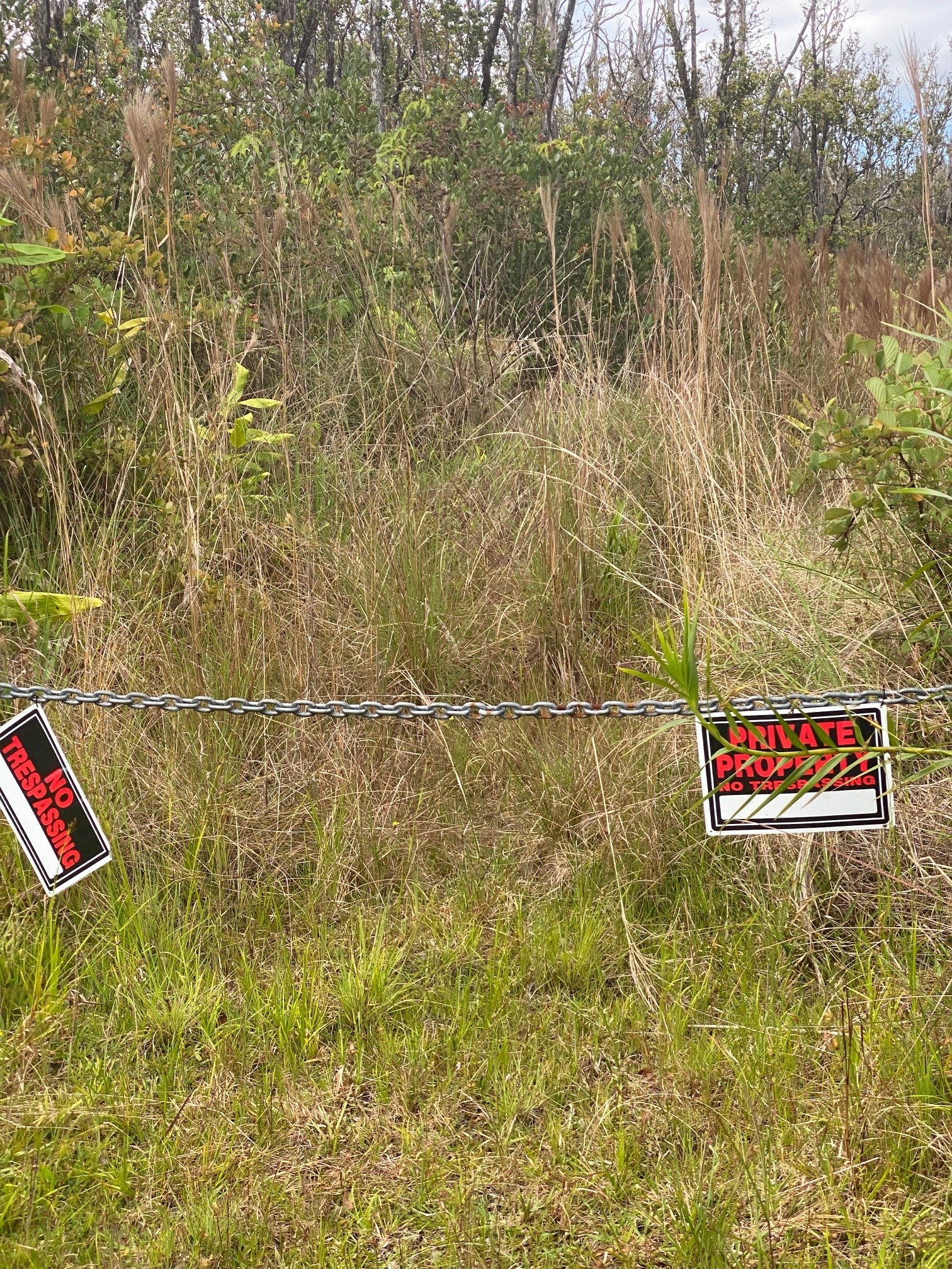 11-2724 Uakoko Rd, Volcano, HI 96785