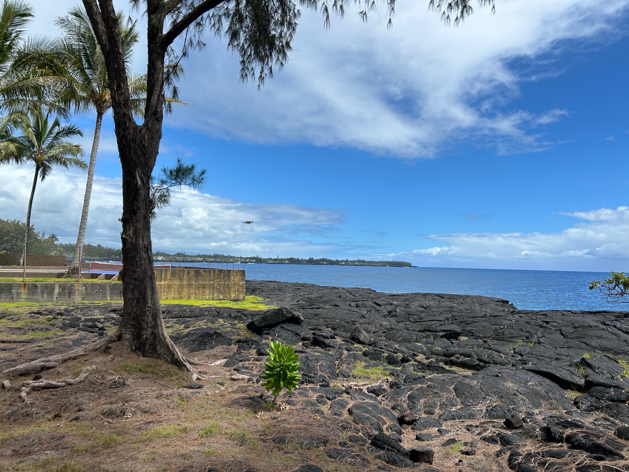 15-1027 Ala Heiau Rd, Keaau, HI 96749