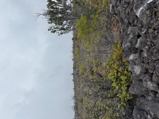 92-8527 Iwalani Circle Makai, Ocean View, HI 96737