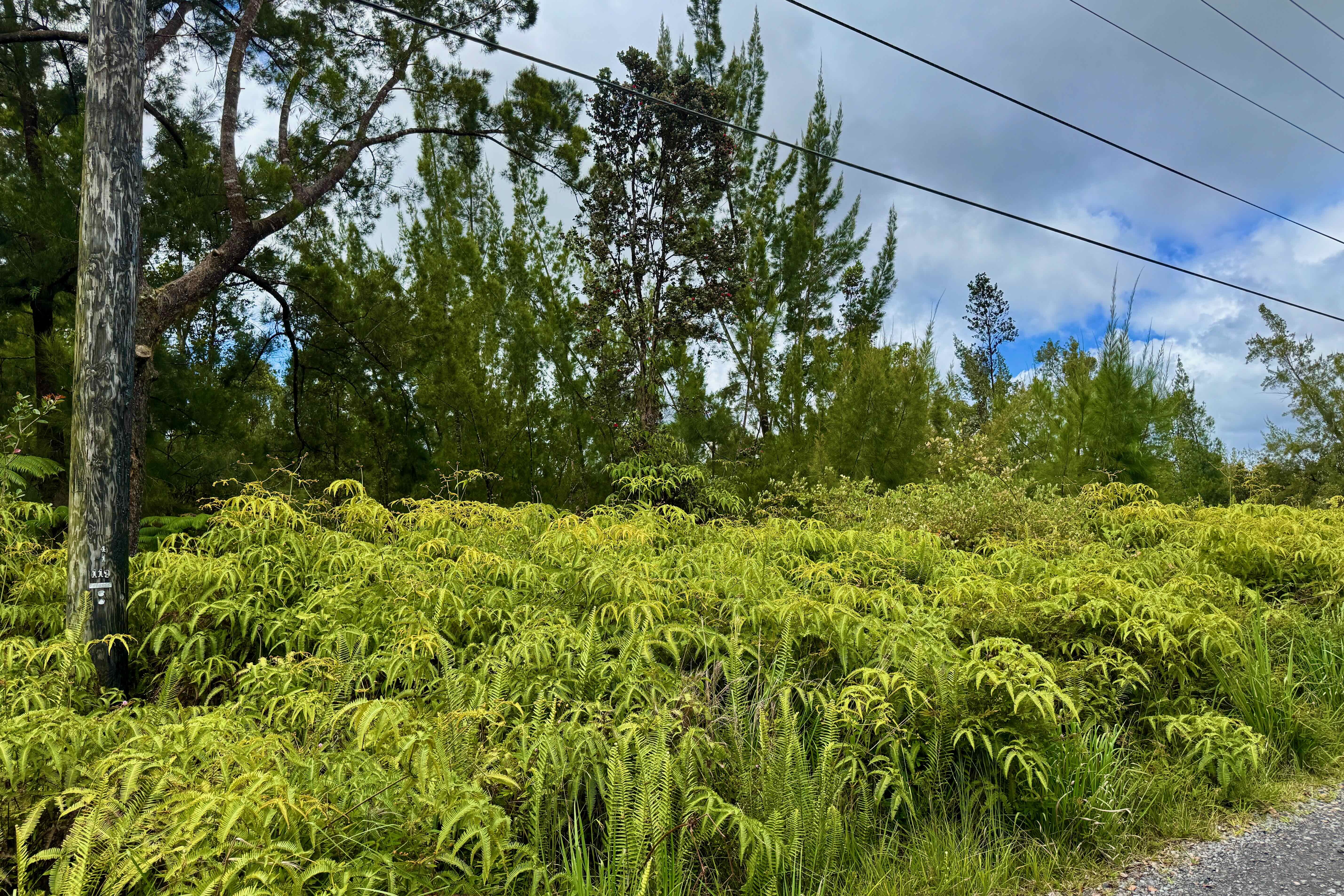 11-1989 Kaleponi Dr, Volcano, HI 96785