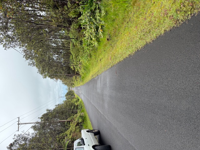 11-3184-A Alaula St, Volcano, HI 96785