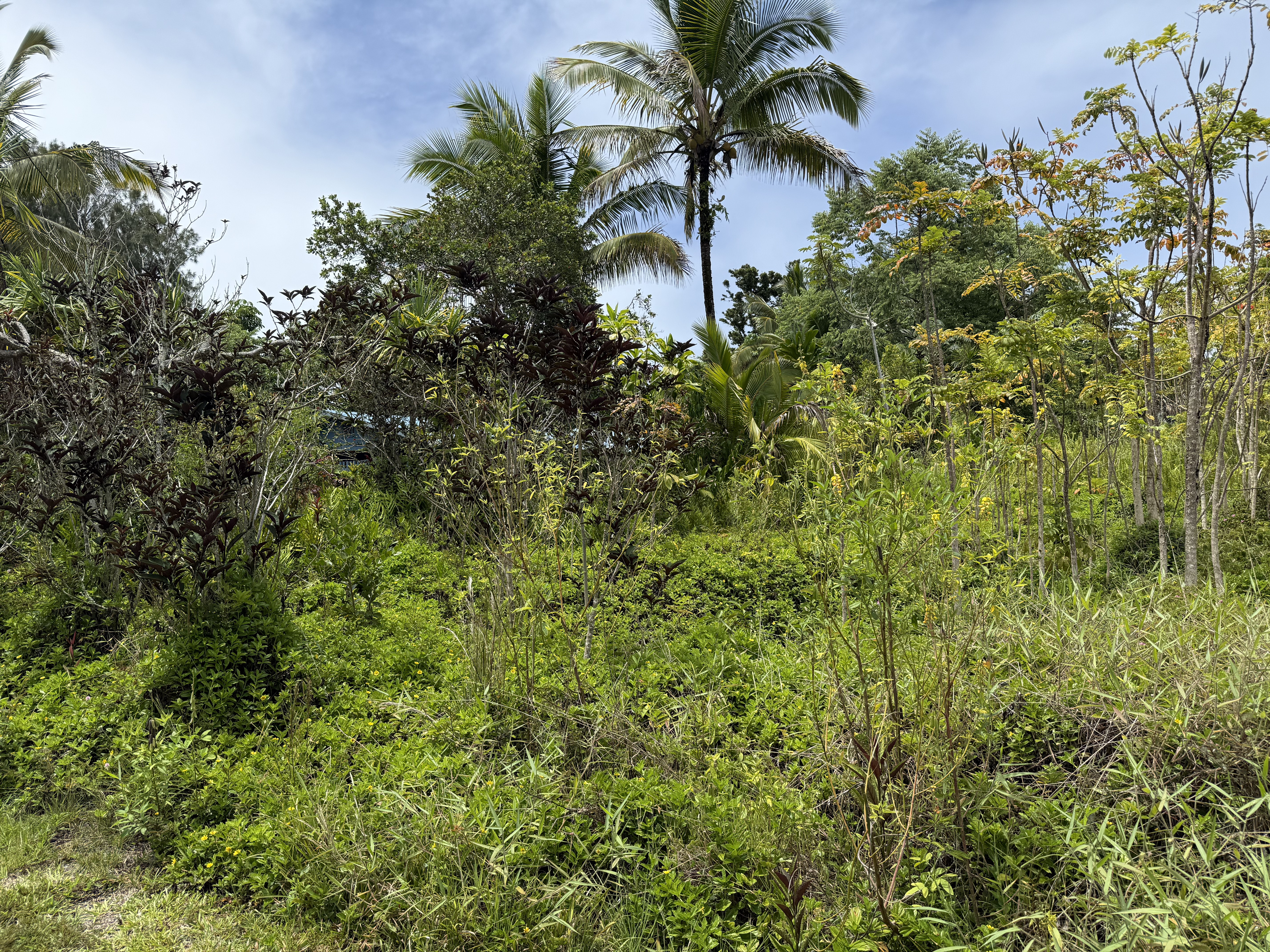 15-1032 Wahi Heiau Pl, Keaau, HI 96749