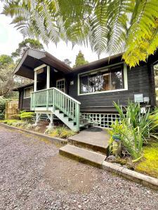 19-4095 Anuhea Circle Dr, Volcano, HI 96785