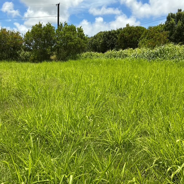 6346 Kawaihau Rd, Kapaa, HI 96746