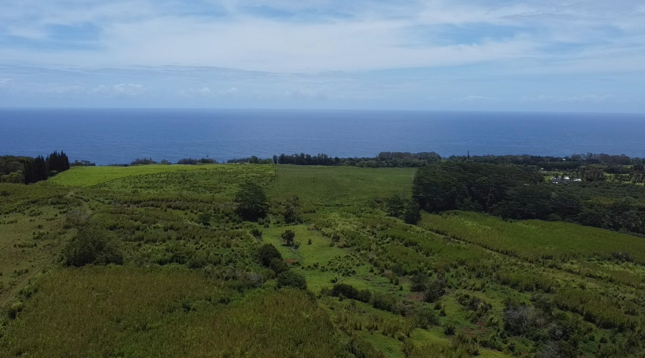 1-3 Private Rd, Hakalau, HI 96710
