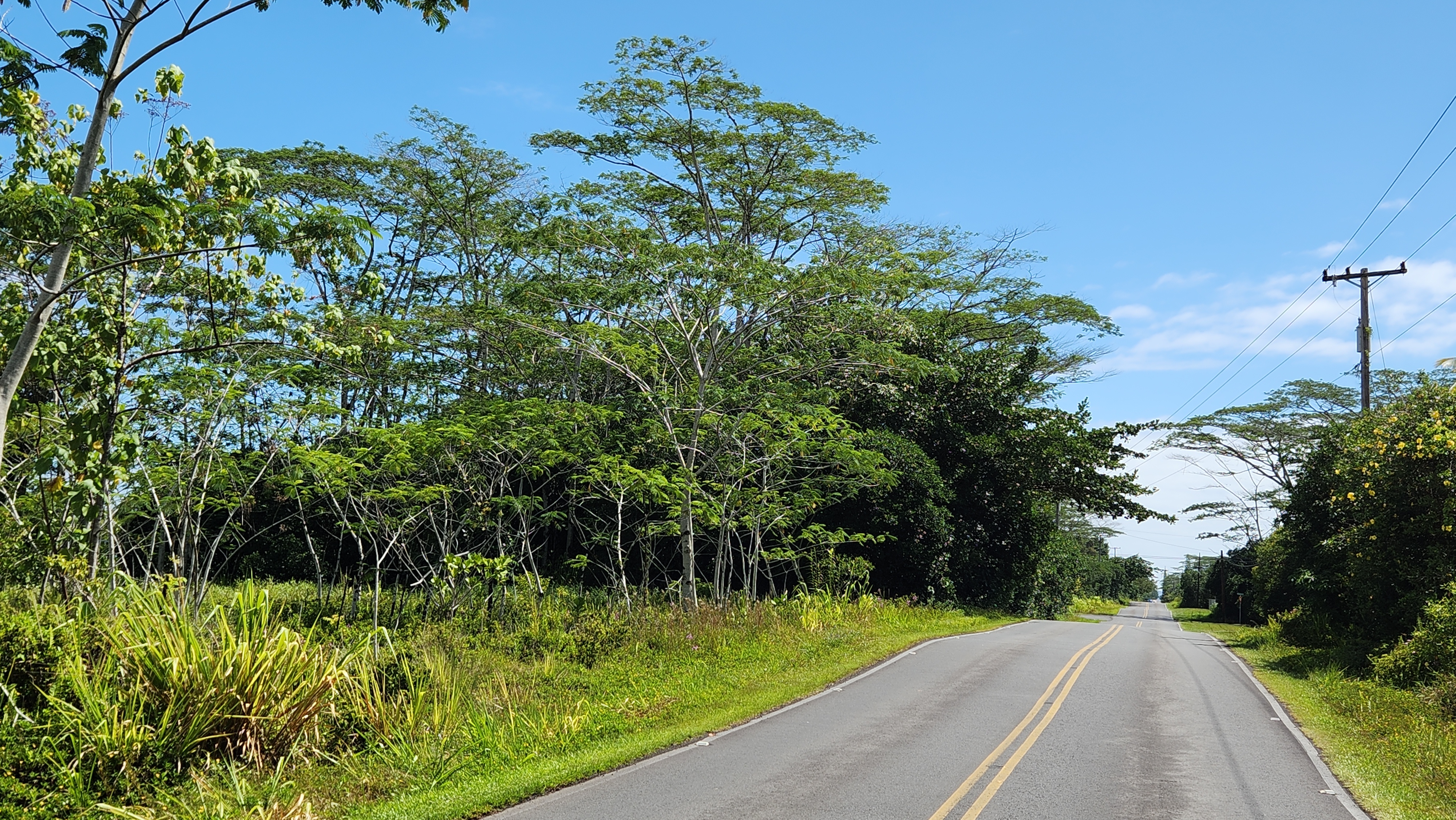 15-1746 9Th Ave, Keaau, HI 96749